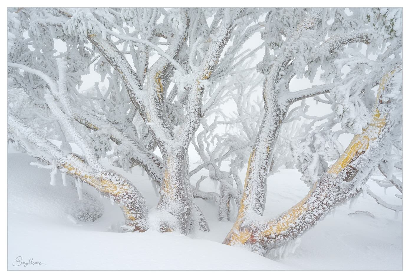 Apparently yesterday was international photography day! Always feeling blessed to have this art form as such a big part of my life. Here&rsquo;s an obligatory few pictures from my recent gallery release; a big thank you to anyone &amp; everyone who t