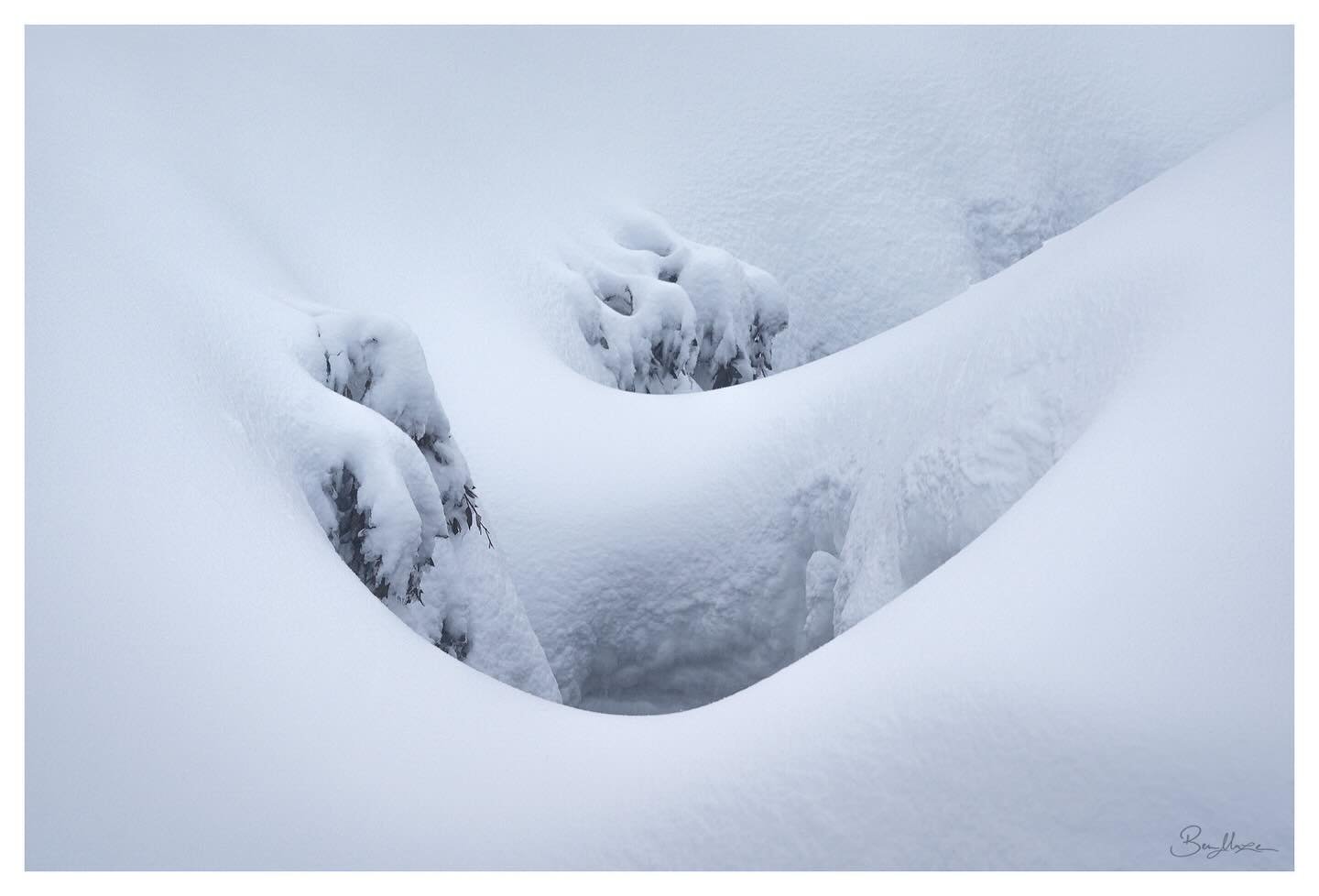 &lsquo;Snowy Slumber&rsquo; (2025)