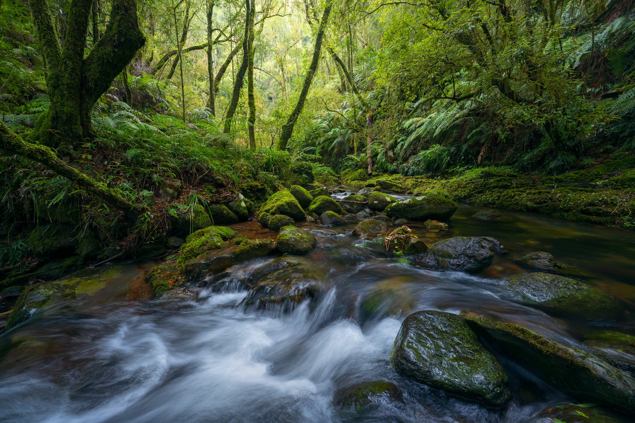 _DSC5499-Edit web2.jpg
