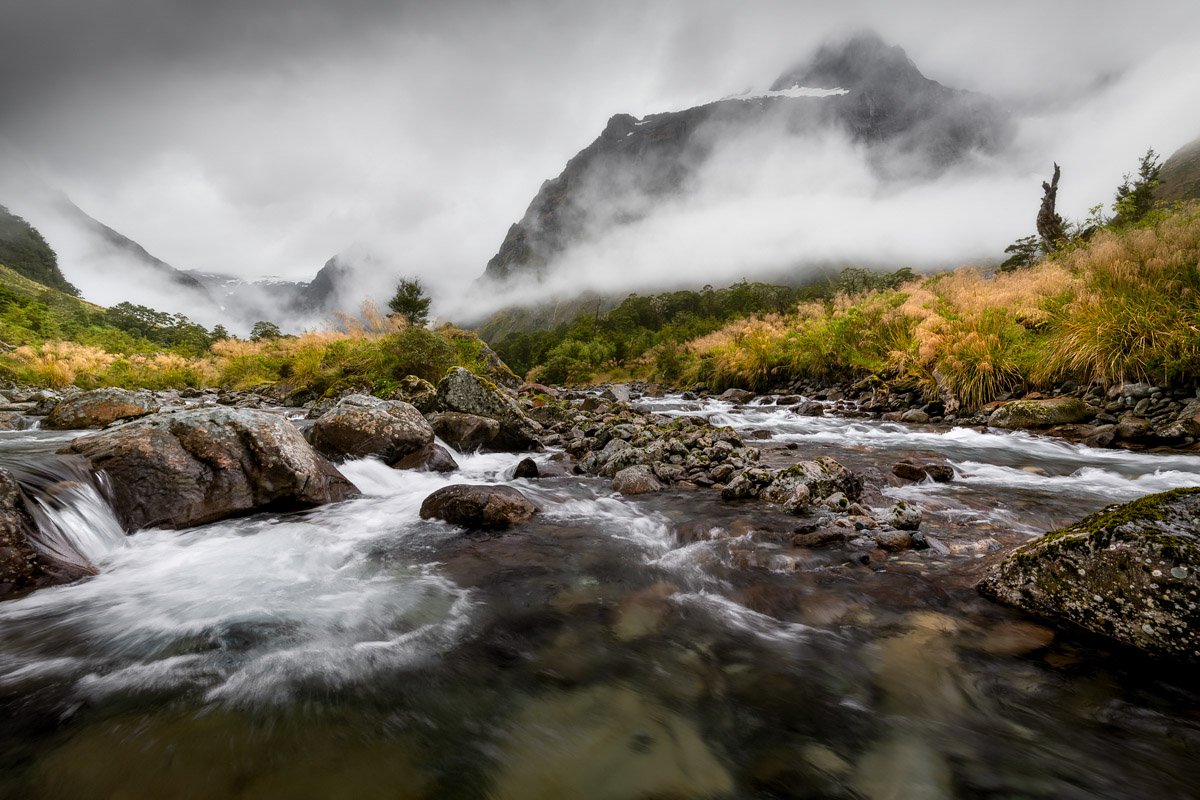 Hollyford Valley.jpg