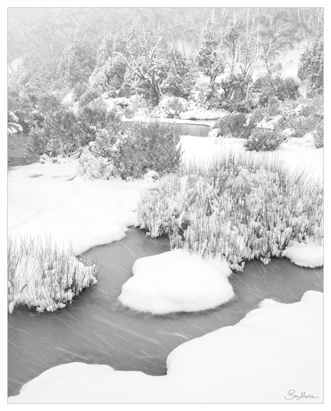 A little teaser of what I got round to photographing during my time in Cradle Mountain last month running some workshops plus a bit of shooting for myself. I&rsquo;m working on next year&rsquo;s listing with an exciting co-host (TBA in the next month