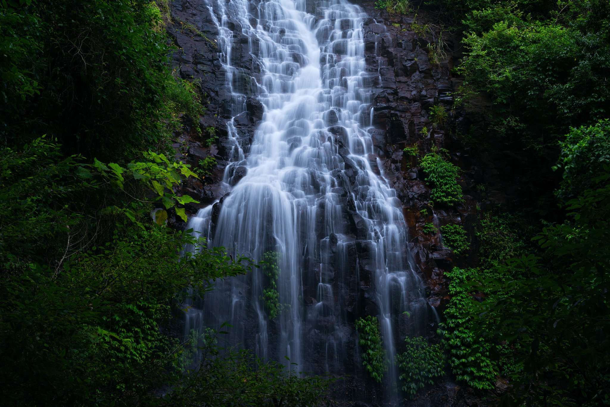 _DSC6211-1 web.jpg