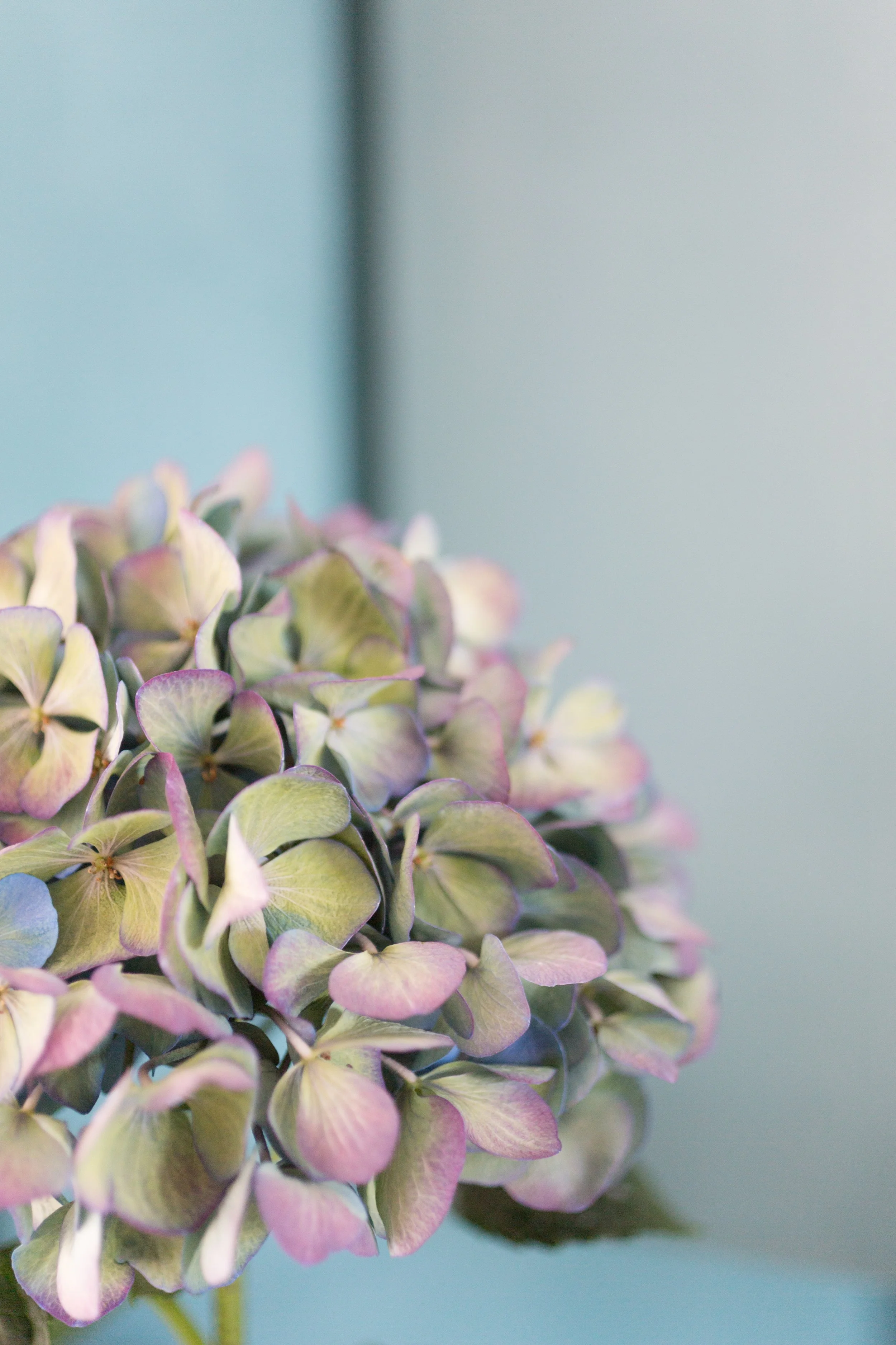 161006JBALAGUE_SOCIETEUP_MAINE__{Nom de fichier»}-163.jpg