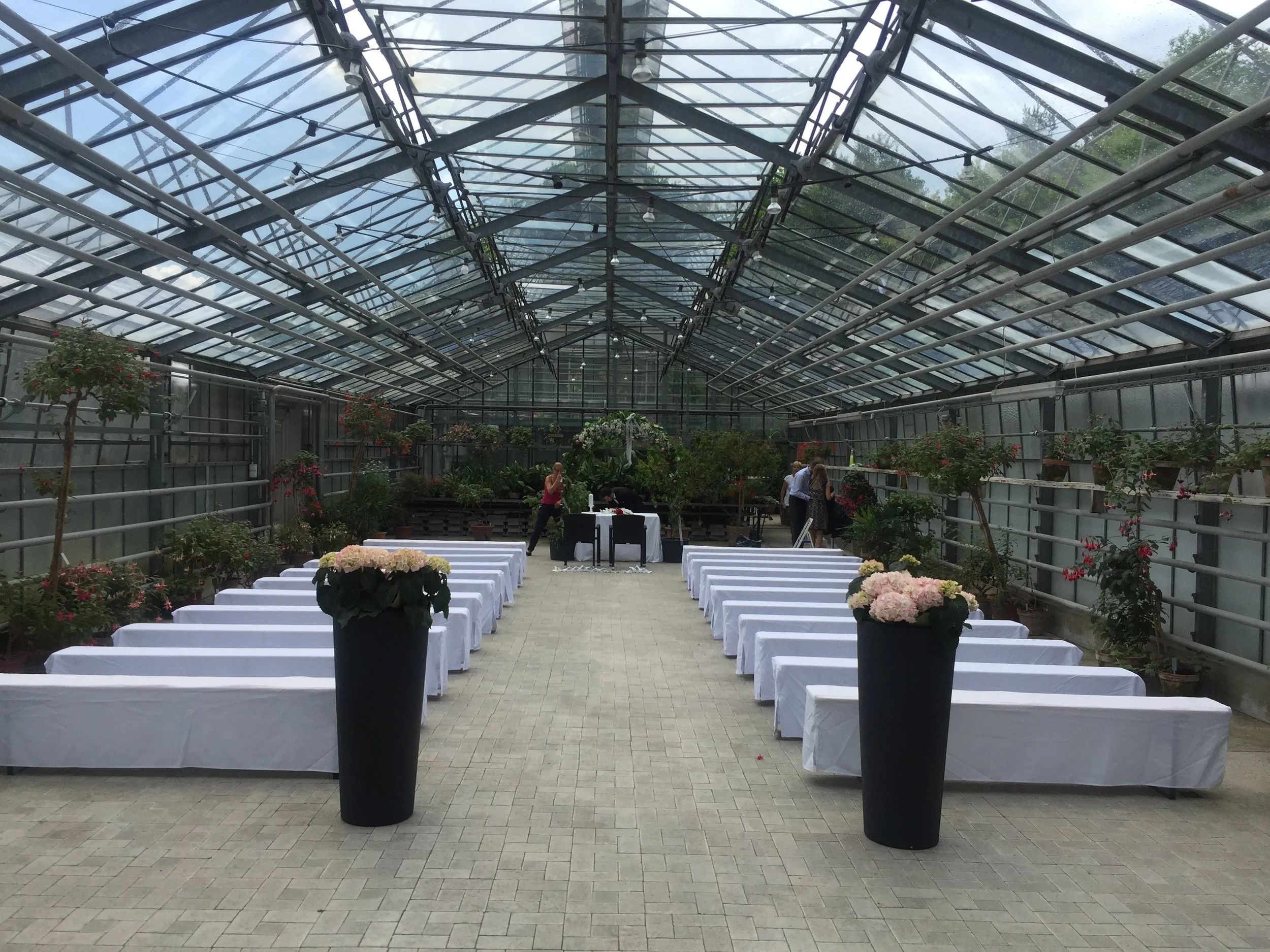 03.06.2017 130352820.JPG