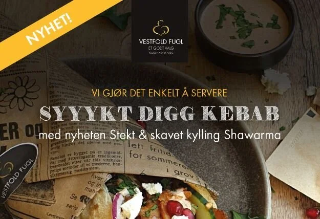 Shawarma kebab from Vestfold Bird! 
