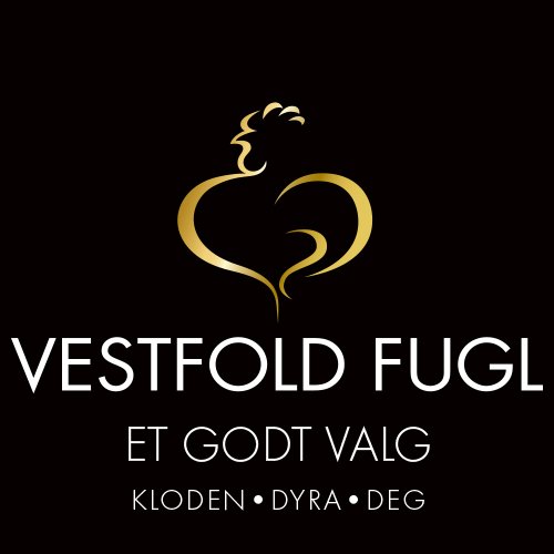 Vestfold fugl fjærfe kylling kalkun 