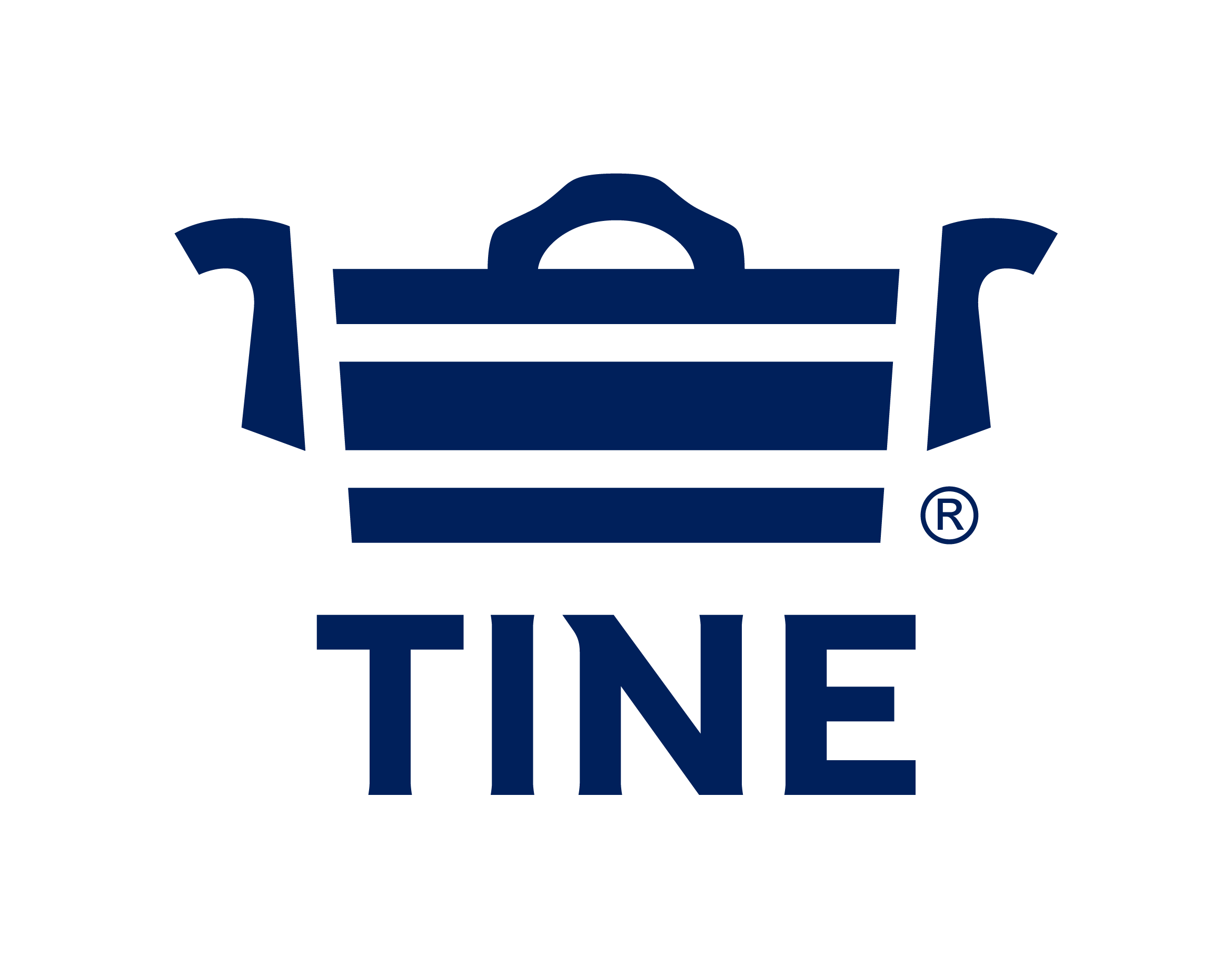 Primary TINE® Logo_RGB_0-32-91-01.png