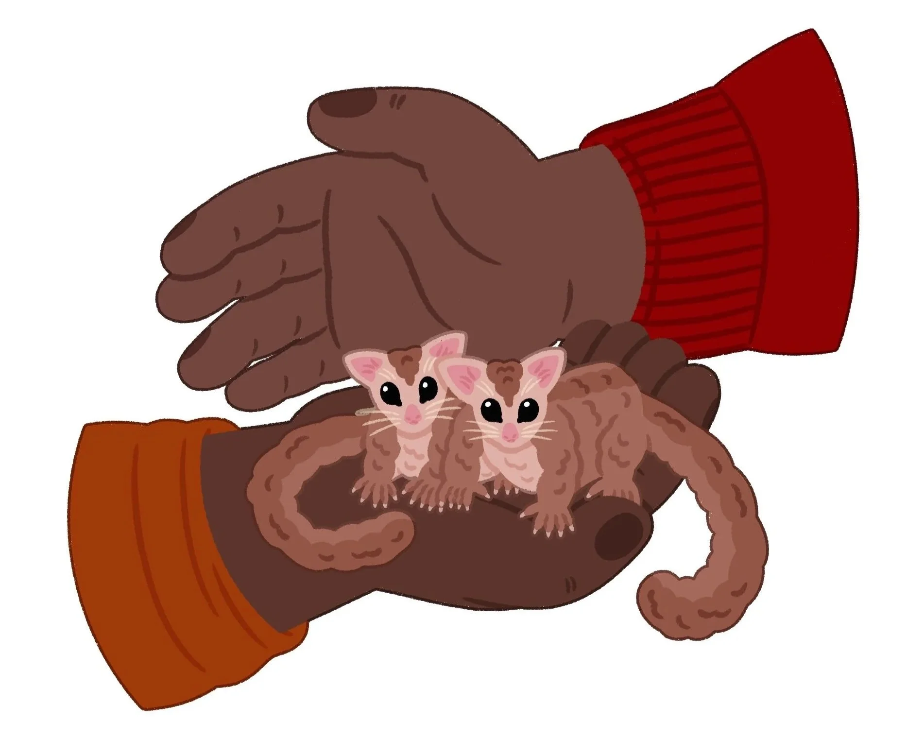 %E2%9A%AB%EF%B8%8F%E2%9C%85_27%2C_Sugar_Glider__Hands+3.jpg