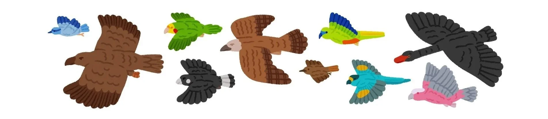 %E2%9C%85_5%2C_Birds.jpg