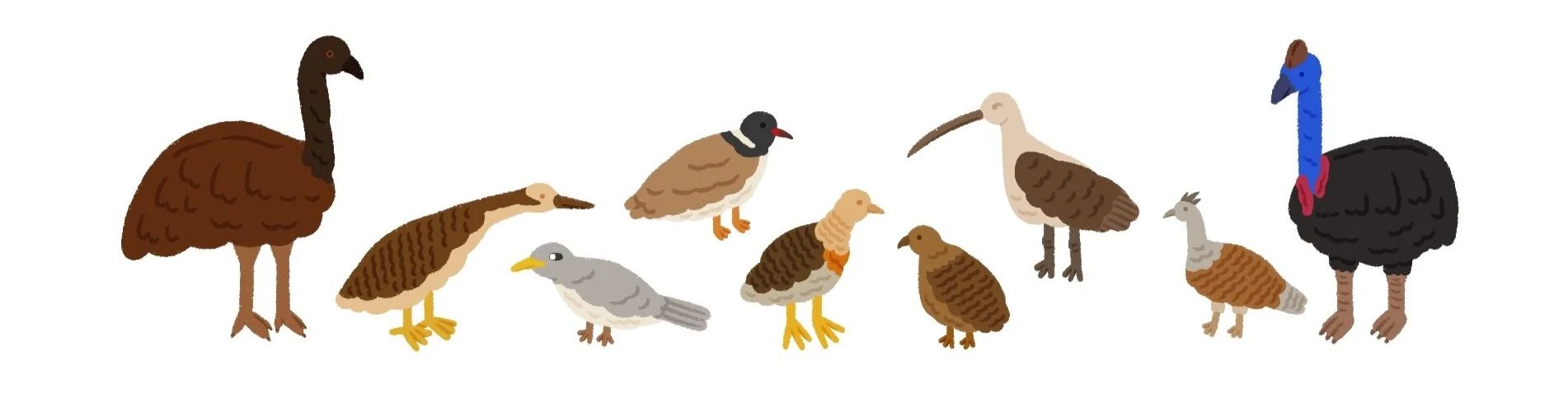 %E2%9C%85_5%2C_Birds.jpg