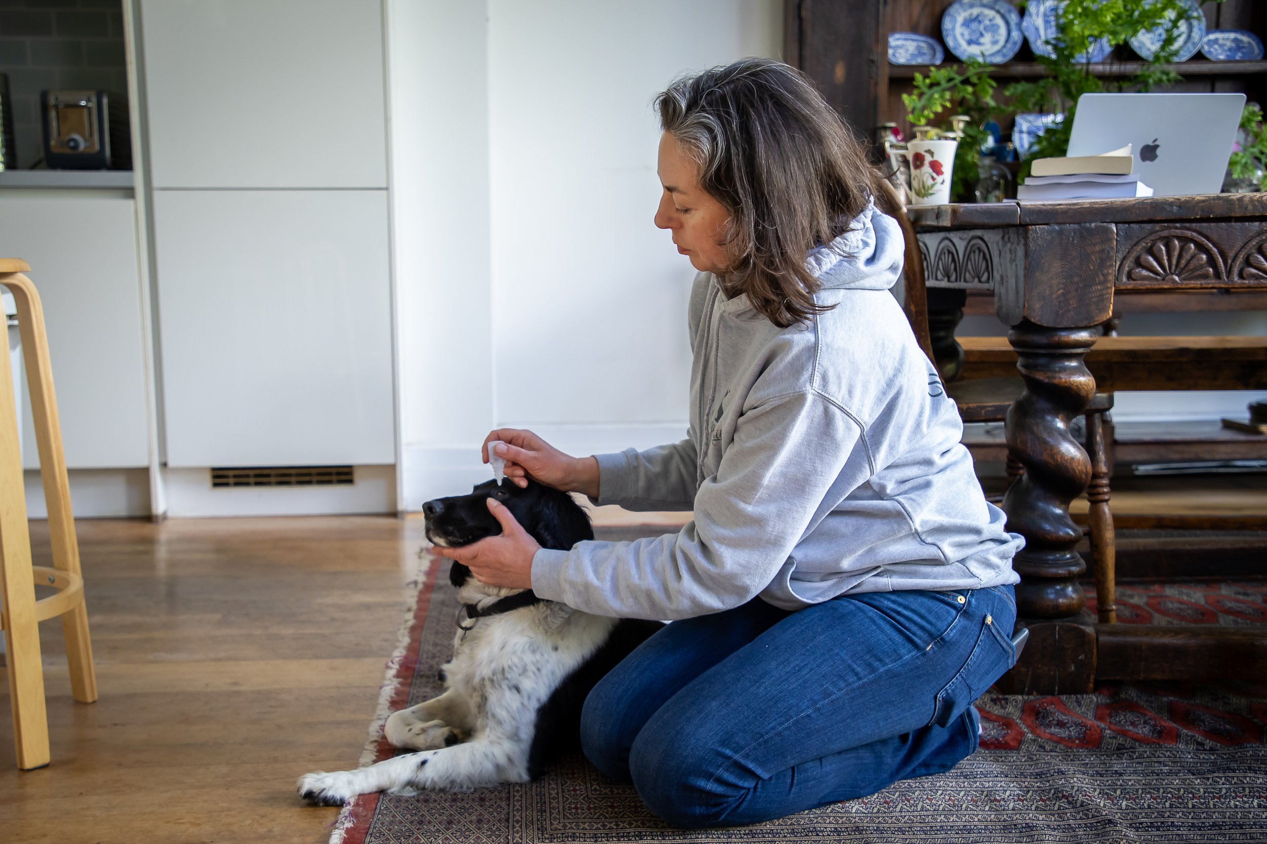 250901 - Sorrel Coni - AU3A2135.jpeg