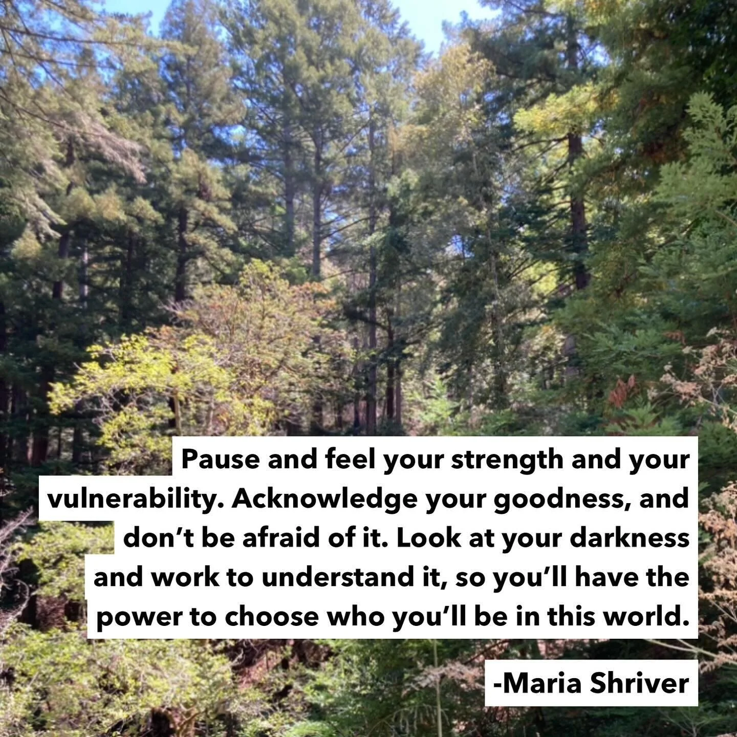 Wisdom from the incomparable @mariashriver 🙏🏼✨

#inspireheartsandminds #selfcompassion #trustyourself
#wellbeing #wisdom #gratitude #loveyourself #yougotthis #shinebright