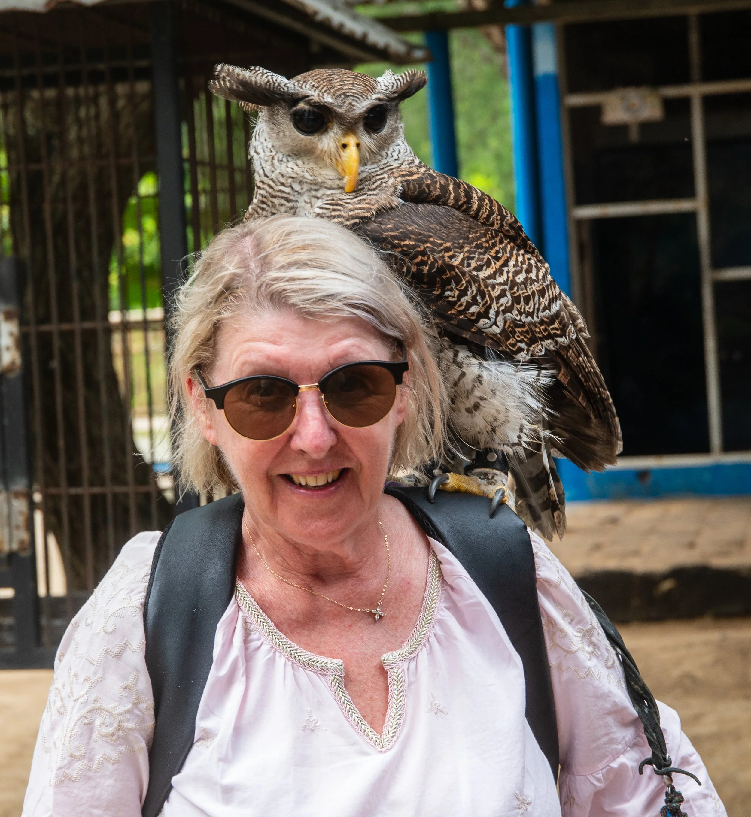 A woman with blonde hair and sunglasses smiling, with an owl perched on her shoulder. The scene appears to be outdoors with a wooden structure and trees in the background.
