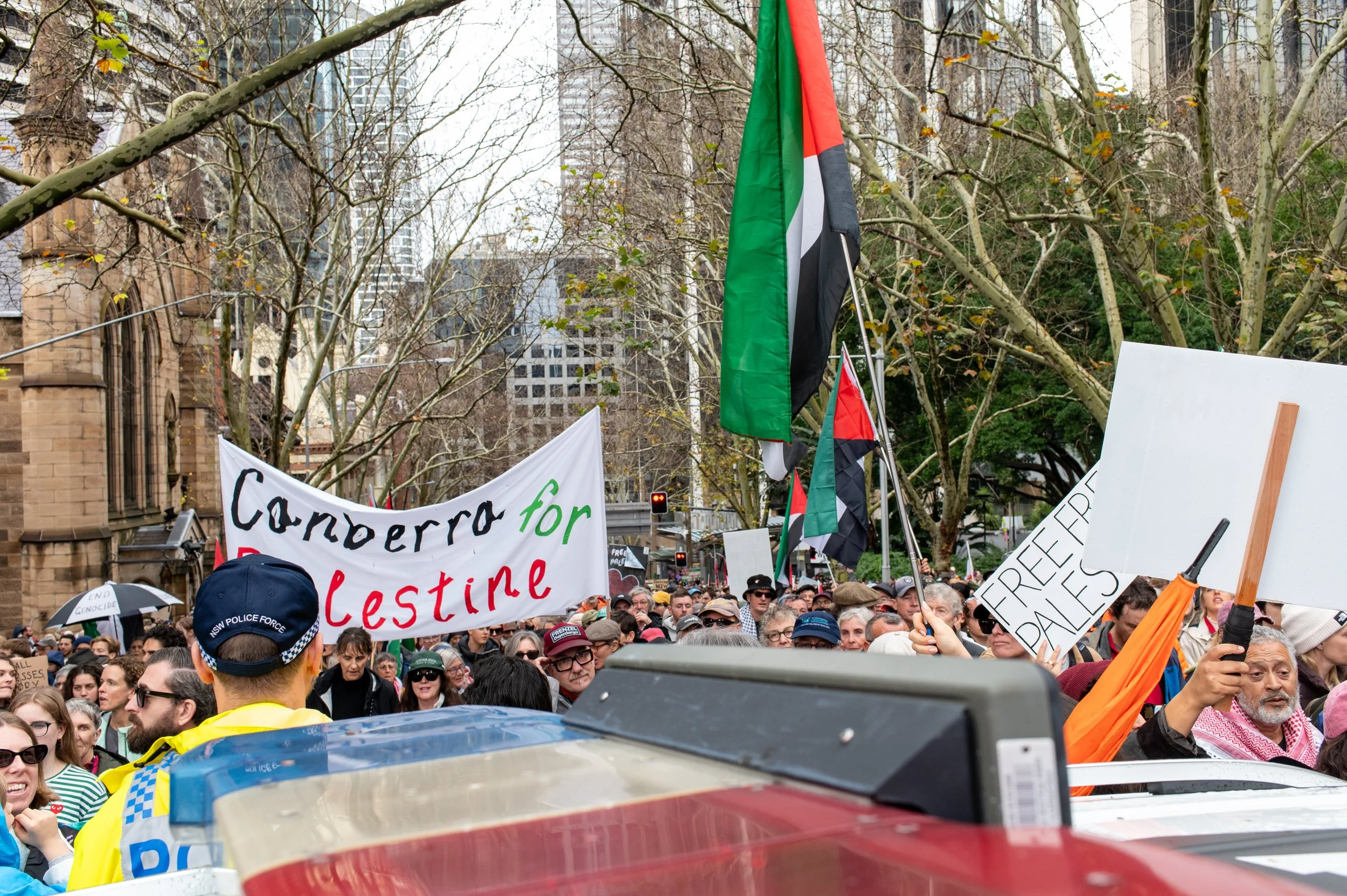 Crowd of protesters at a political demonstration, holding signs and flags supporting Palestine and opposing genocide, with leafless trees and city buildings in the background.