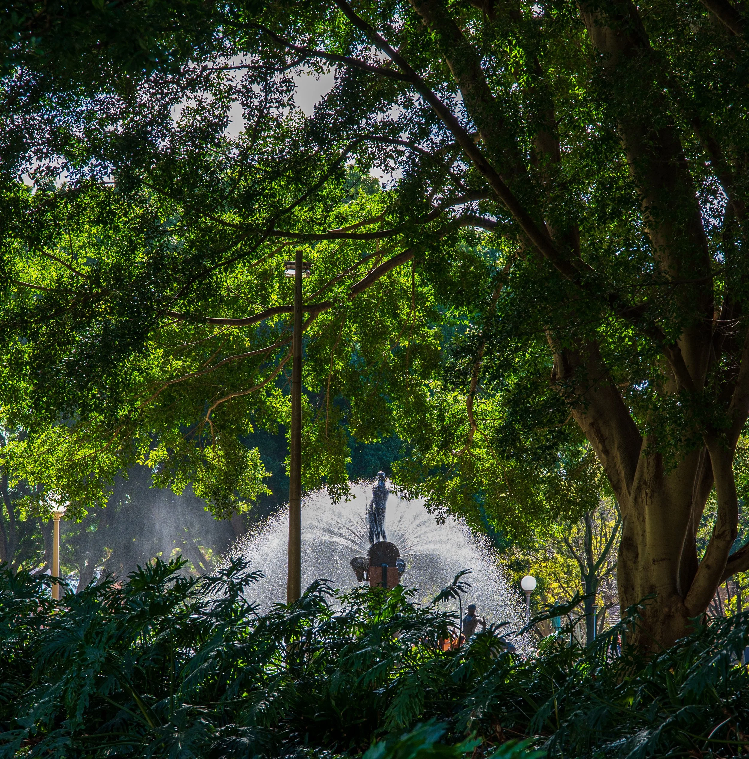 A park scene with lush green trees and a fountain with a statue in the background, surrounded by foliage and lampposts.