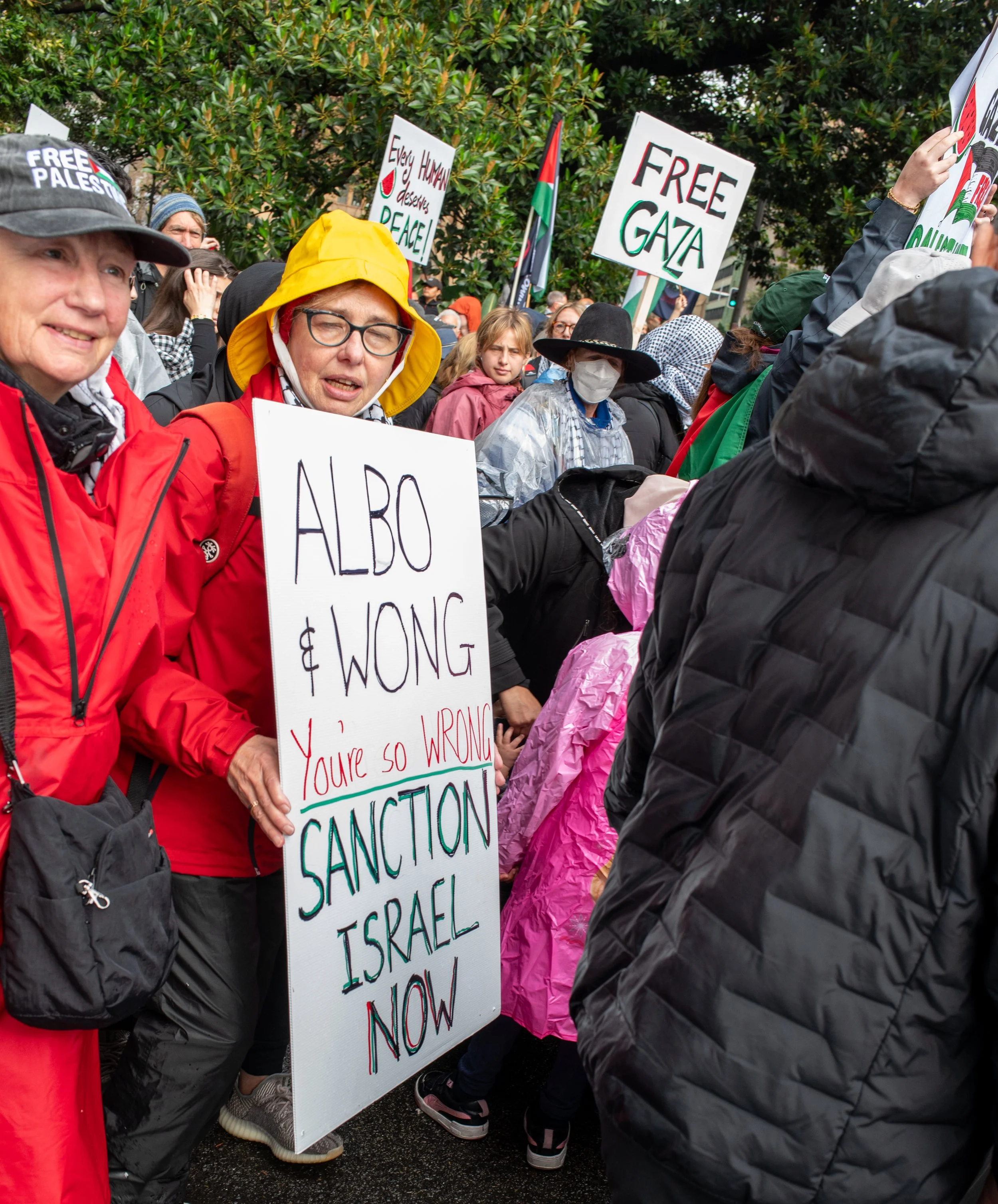 People protesting in support of Palestine, holding signs that say 'Free Gaza' and 'Albo & Wong you're so wrong, sanction Israel now', with umbrellas and raincoats, amid green trees and overcast weather.