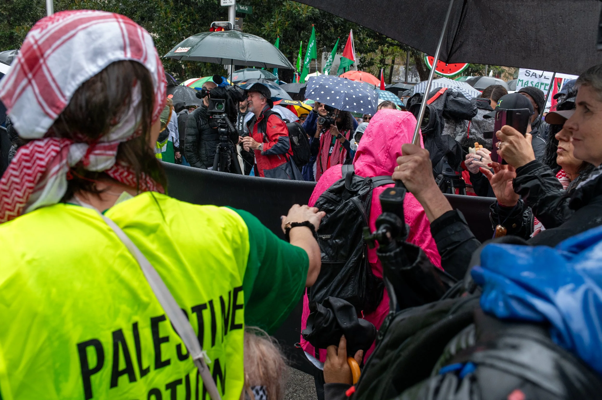 Crowd of people protesting in the rain with umbrellas, some holding signs and cameras, and a volunteer wearing a yellow vest labeled 'Paleontological'.