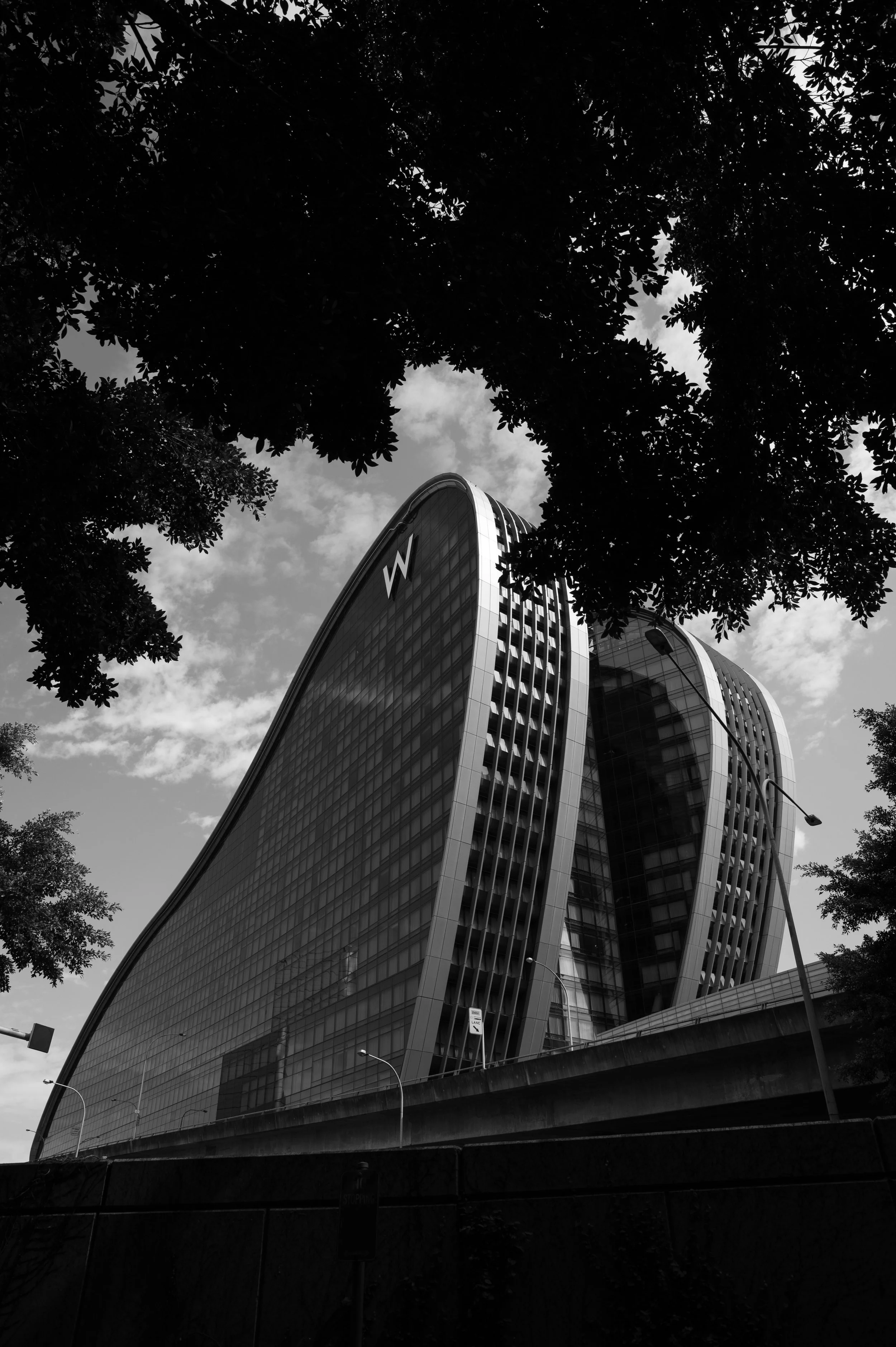 Black and white photo of the W Hotel building, a modern curved skyscraper with glass windows, surrounded by trees and a streetlamp.