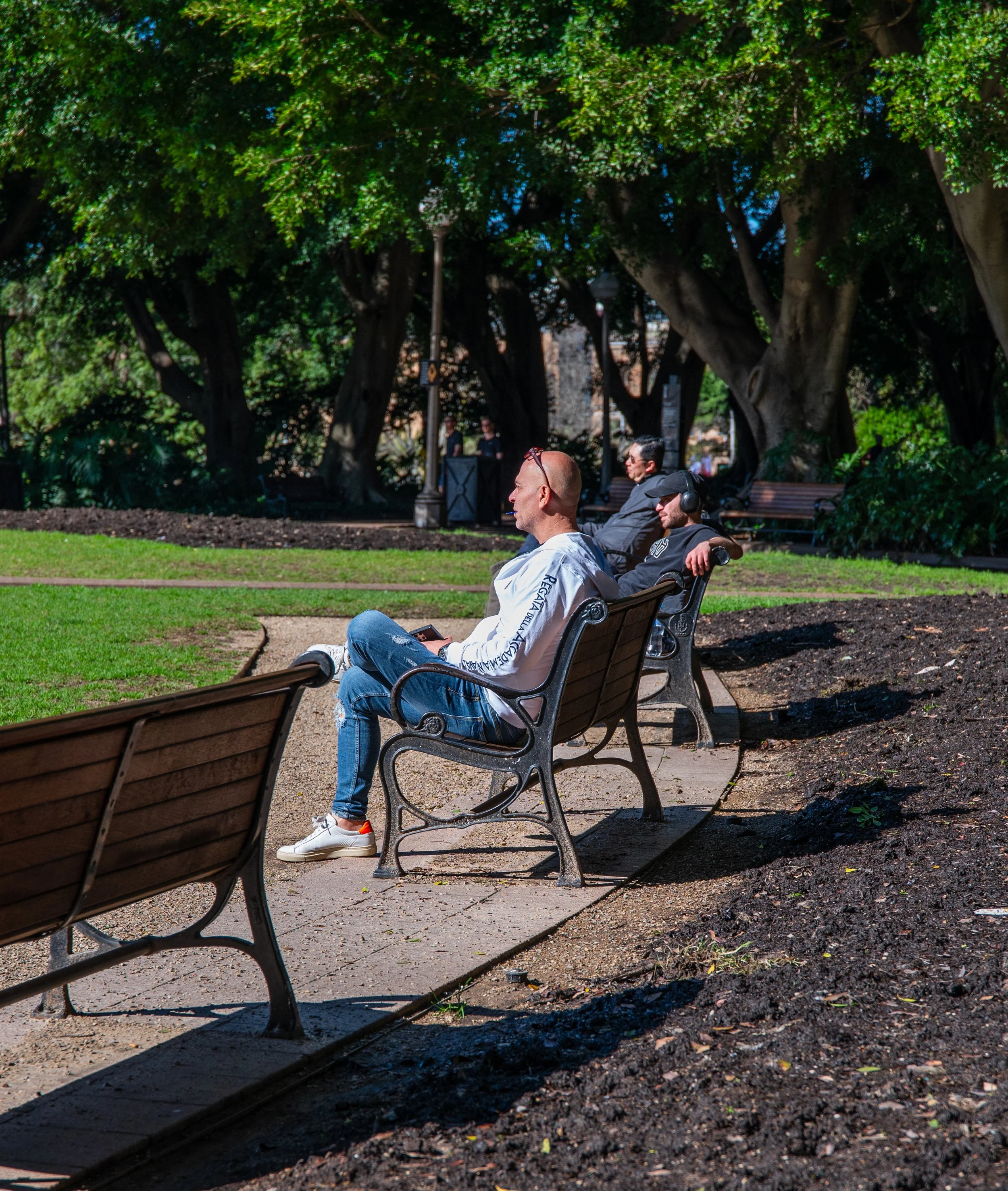 Three men sitting on park benches on a sunny day, surrounded by lush green trees and shaded areas.