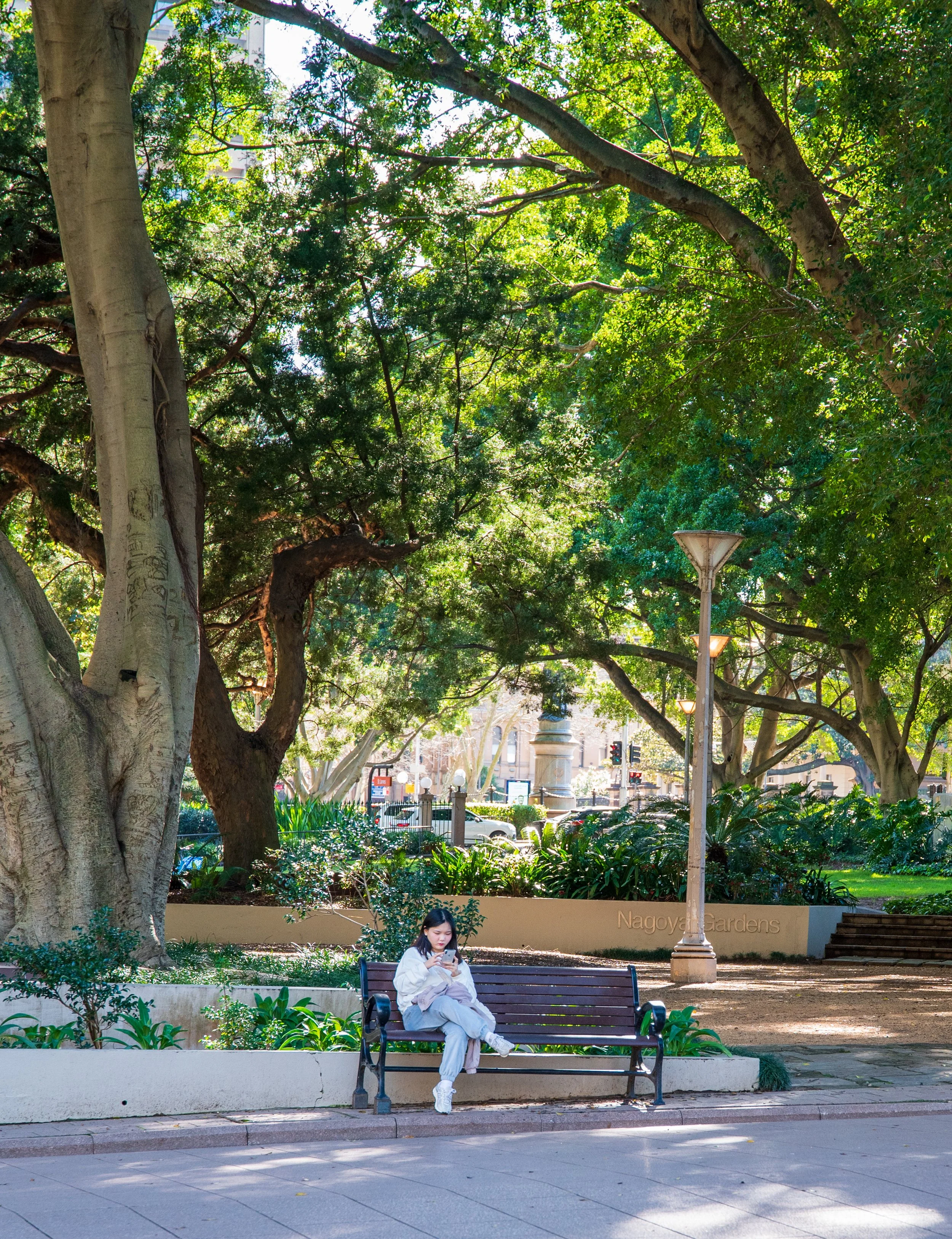 A young woman sitting on a park bench under large trees in a garden, looking at her phone.
