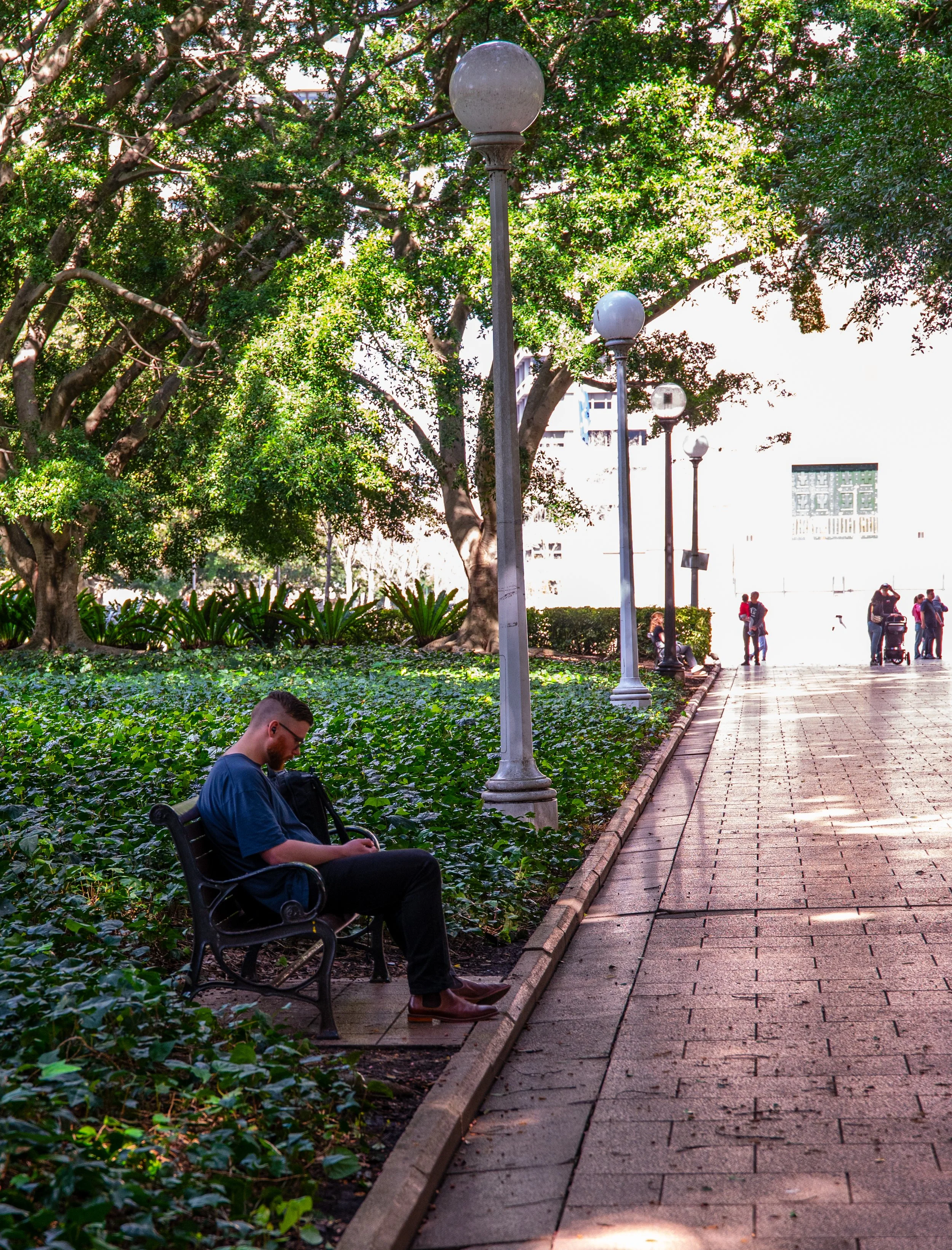 A man sitting on a park bench looking at his phone in a shaded park area with trees and bushes, while other people walk in the bright background.