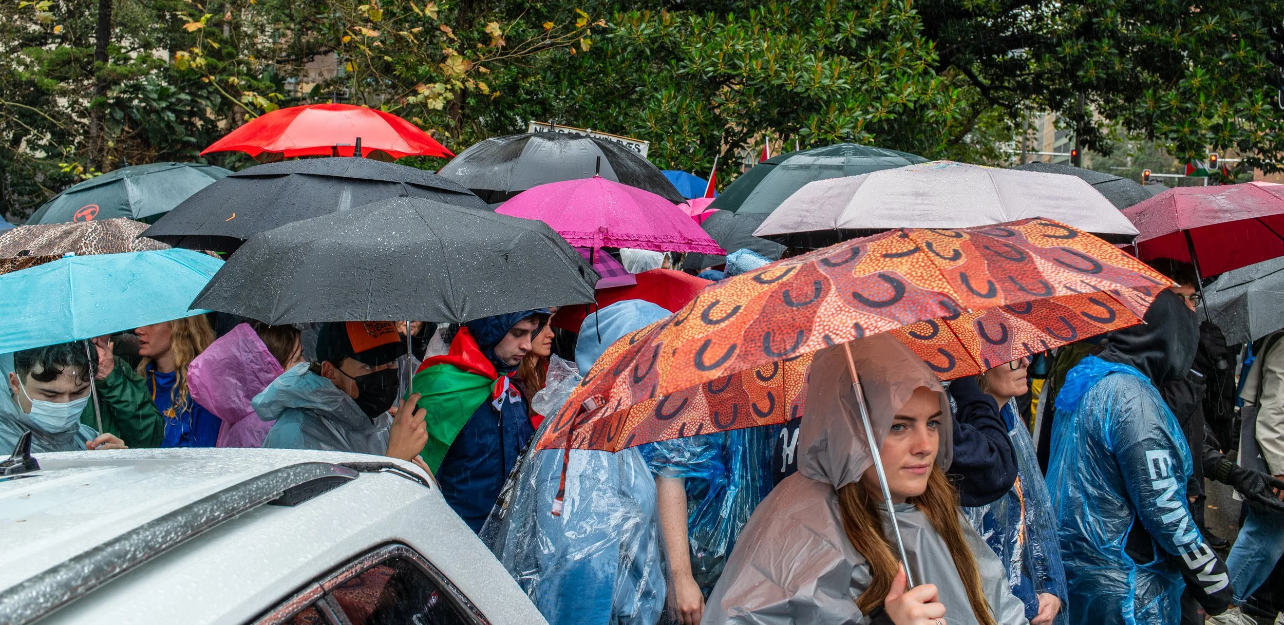 People holding umbrellas during a rainy outdoor event or protest.