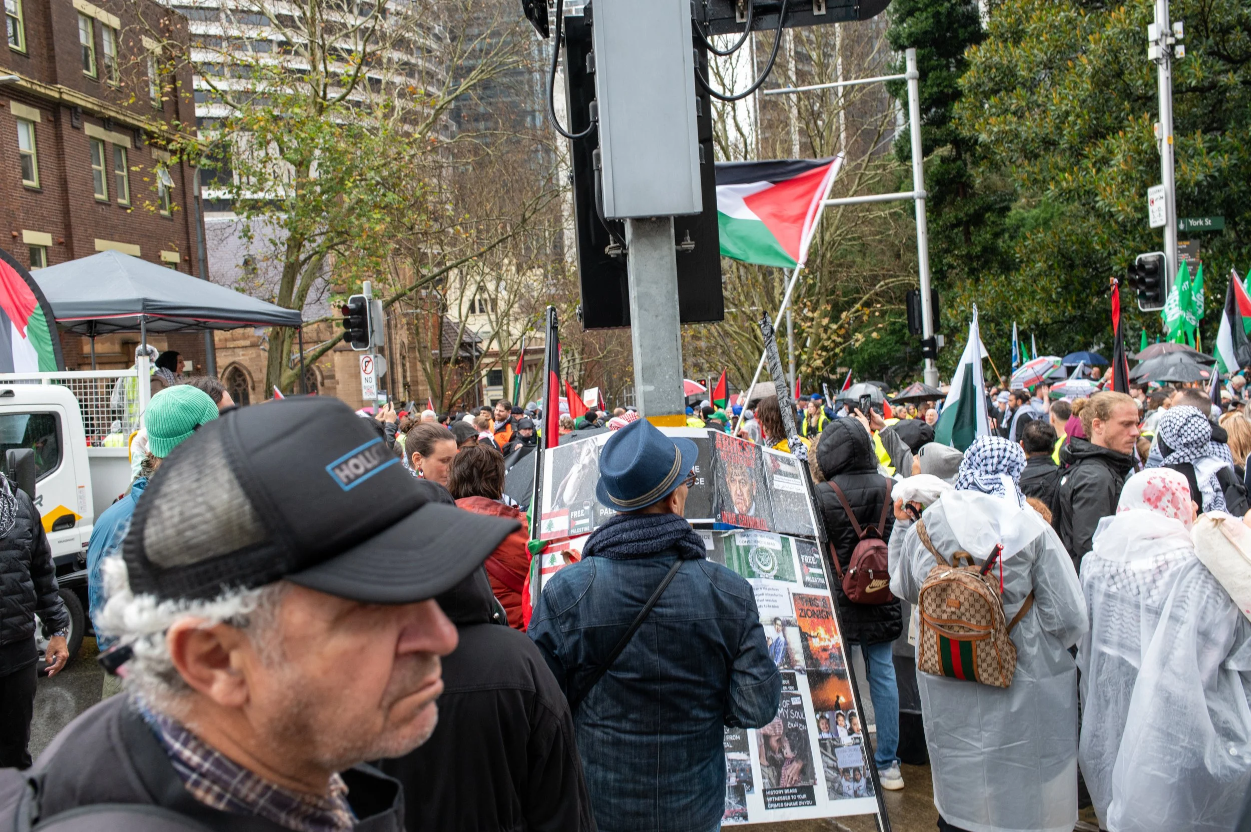 Crowd of people gathered at a protest or demonstration, many holding flags and umbrellas. There are trees and buildings in the background.