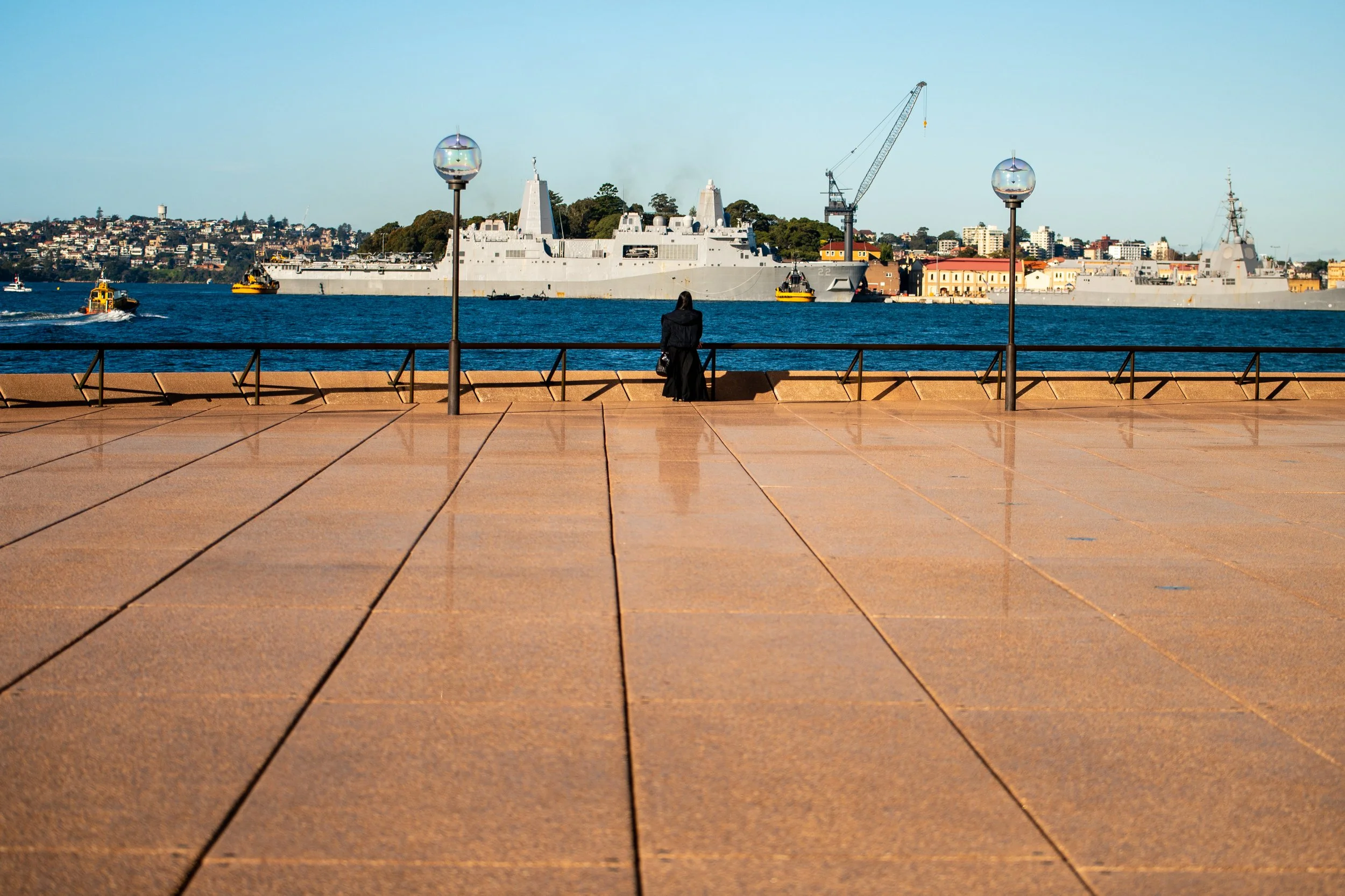 A person dressed in black overlooking a harbor with naval ships, a large cruise ship, and a construction crane, with a cityscape in the background.