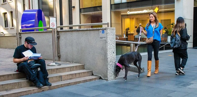 A young man sitting on stairs reading a book, a woman walking her black dog with a pink collar, and two women walking on a city sidewalk in front of a Commonwealth Bank branch.