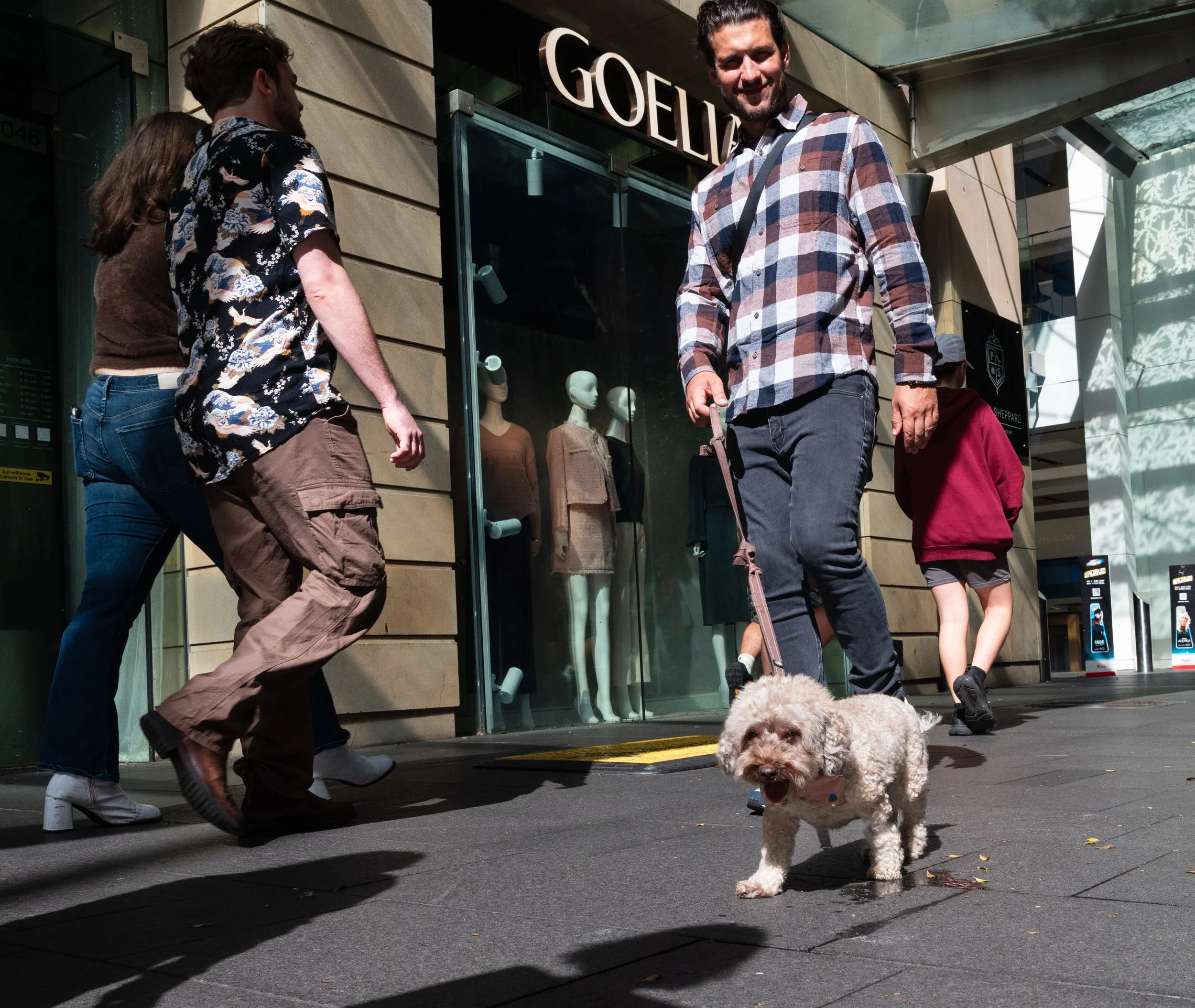 A man walking a small curly-haired dog on a leash outside a clothing store called GOELLE, with other pedestrians passing by.