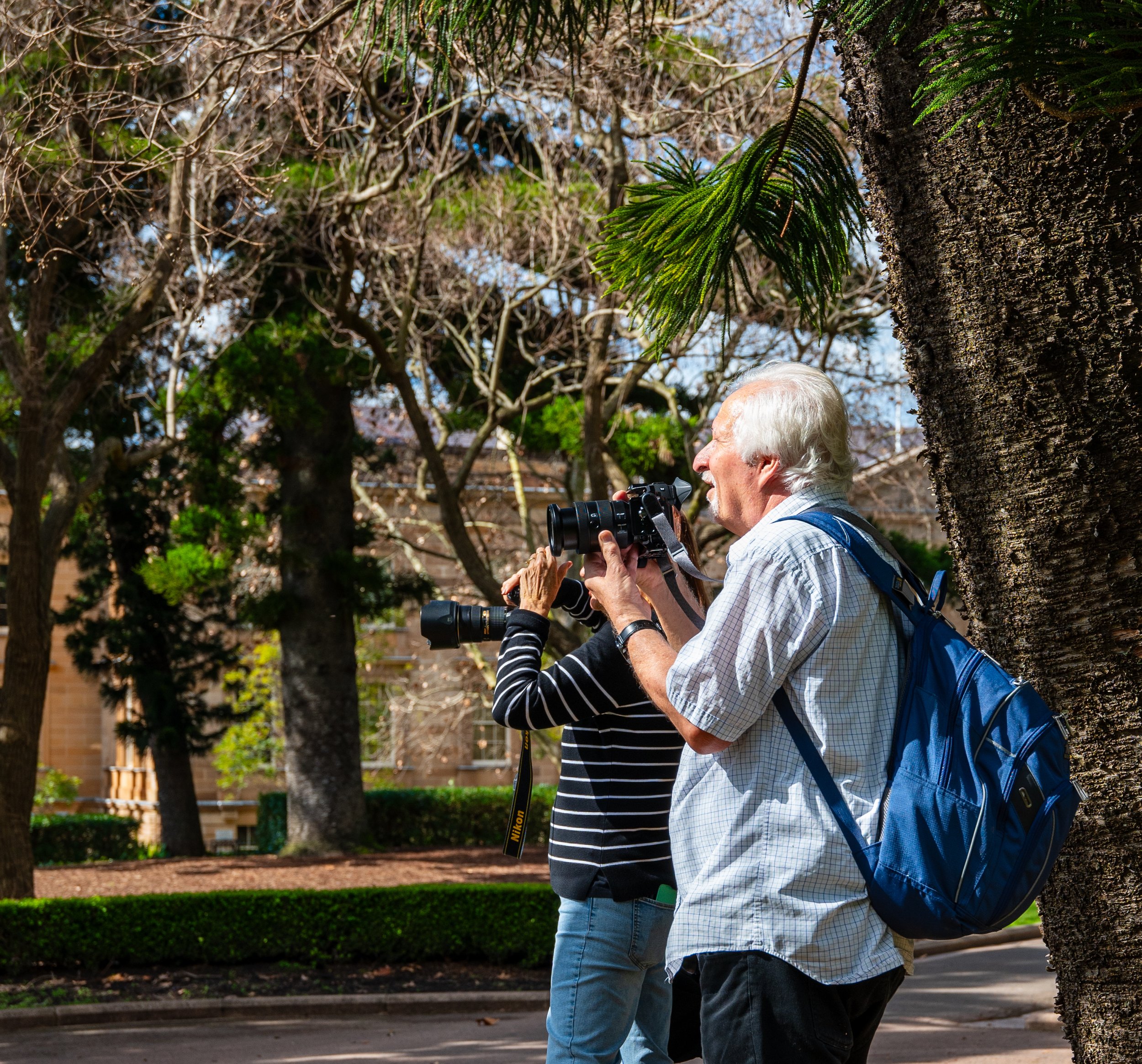 An elderly man with white hair takes a photograph with a camera while standing near a tree in a park on a sunny day.