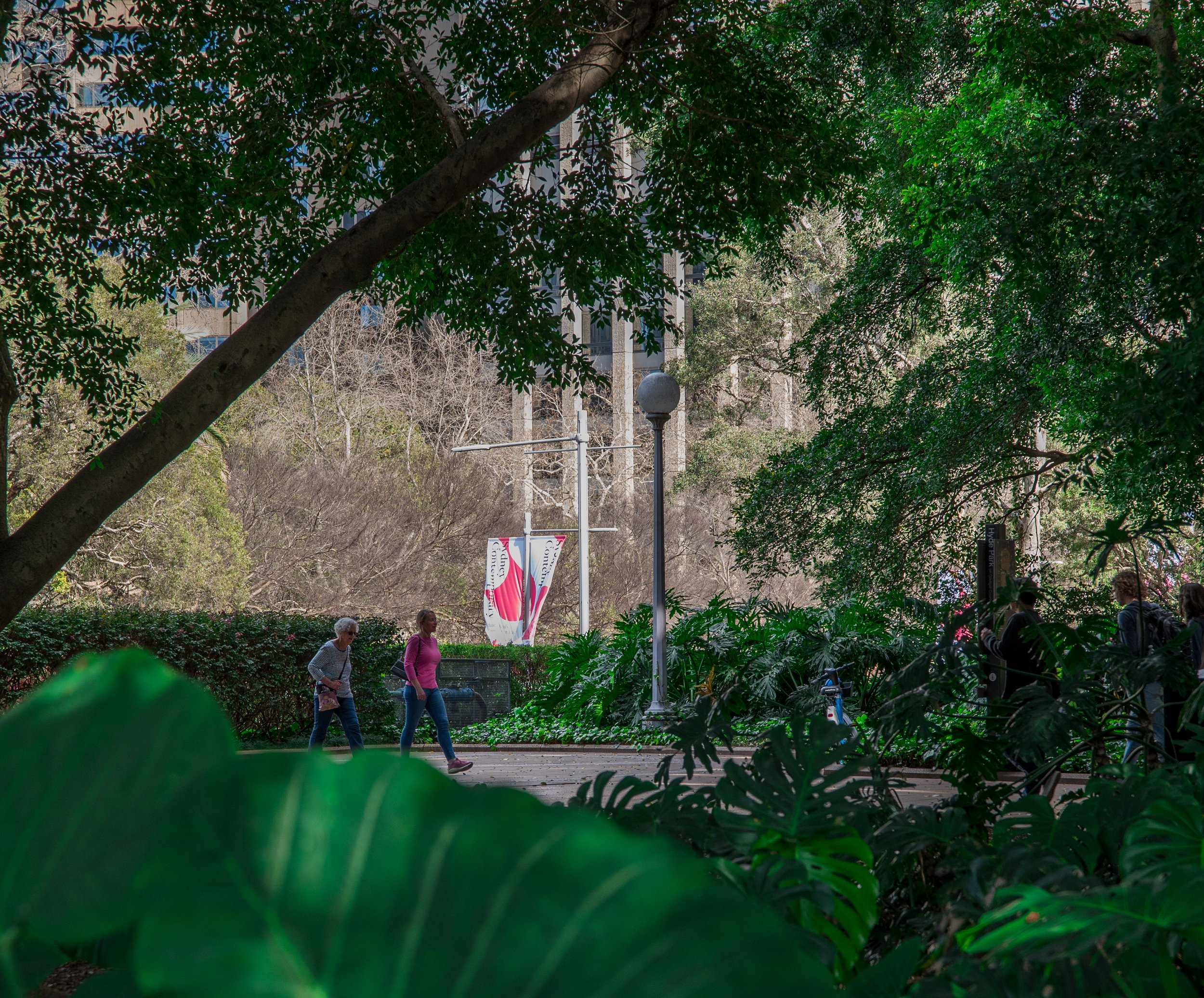 People walking along a park sidewalk surrounded by lush green foliage with trees and bushes, in an urban area with tall buildings in the background.