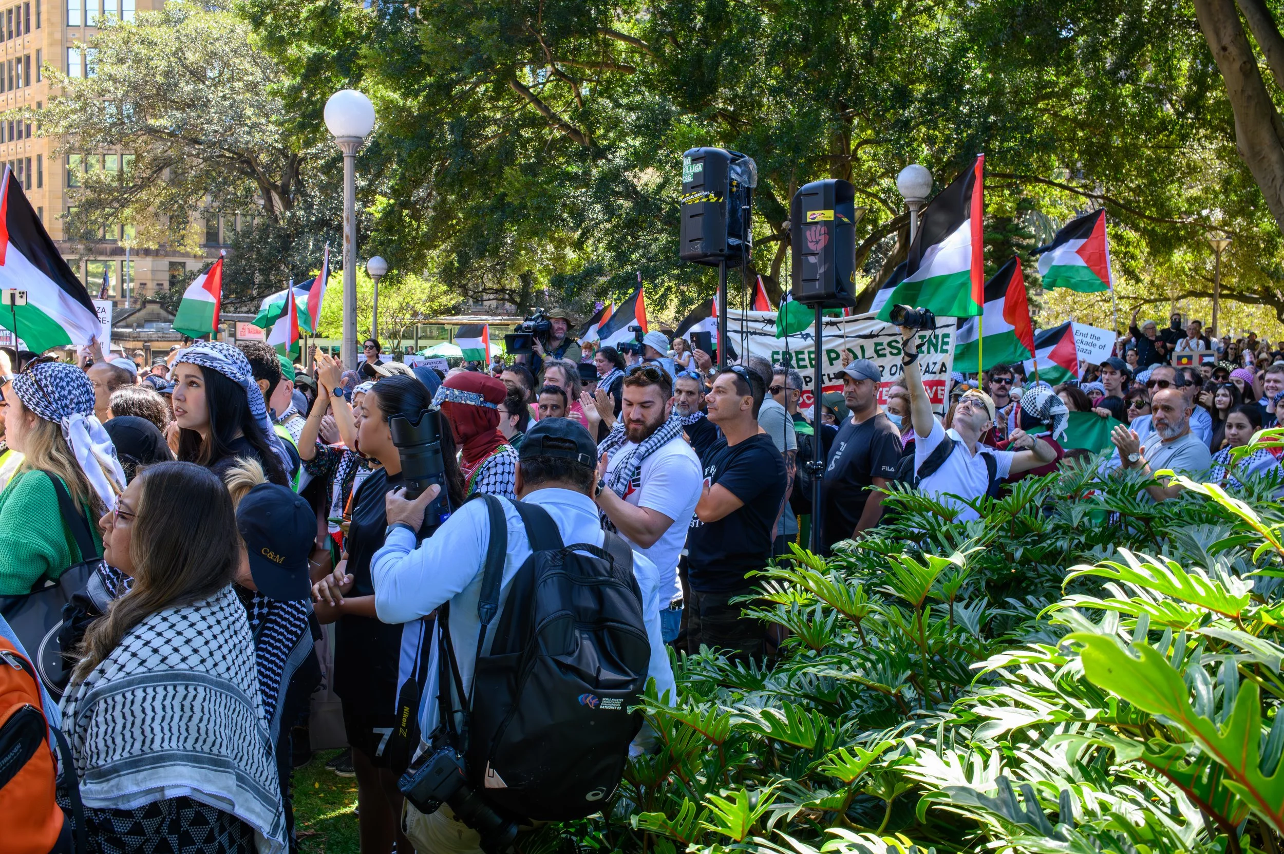 Crowd of protesters in a park with Palestinian flags and signs, some people wearing keffiyehs, and green foliage in the foreground.