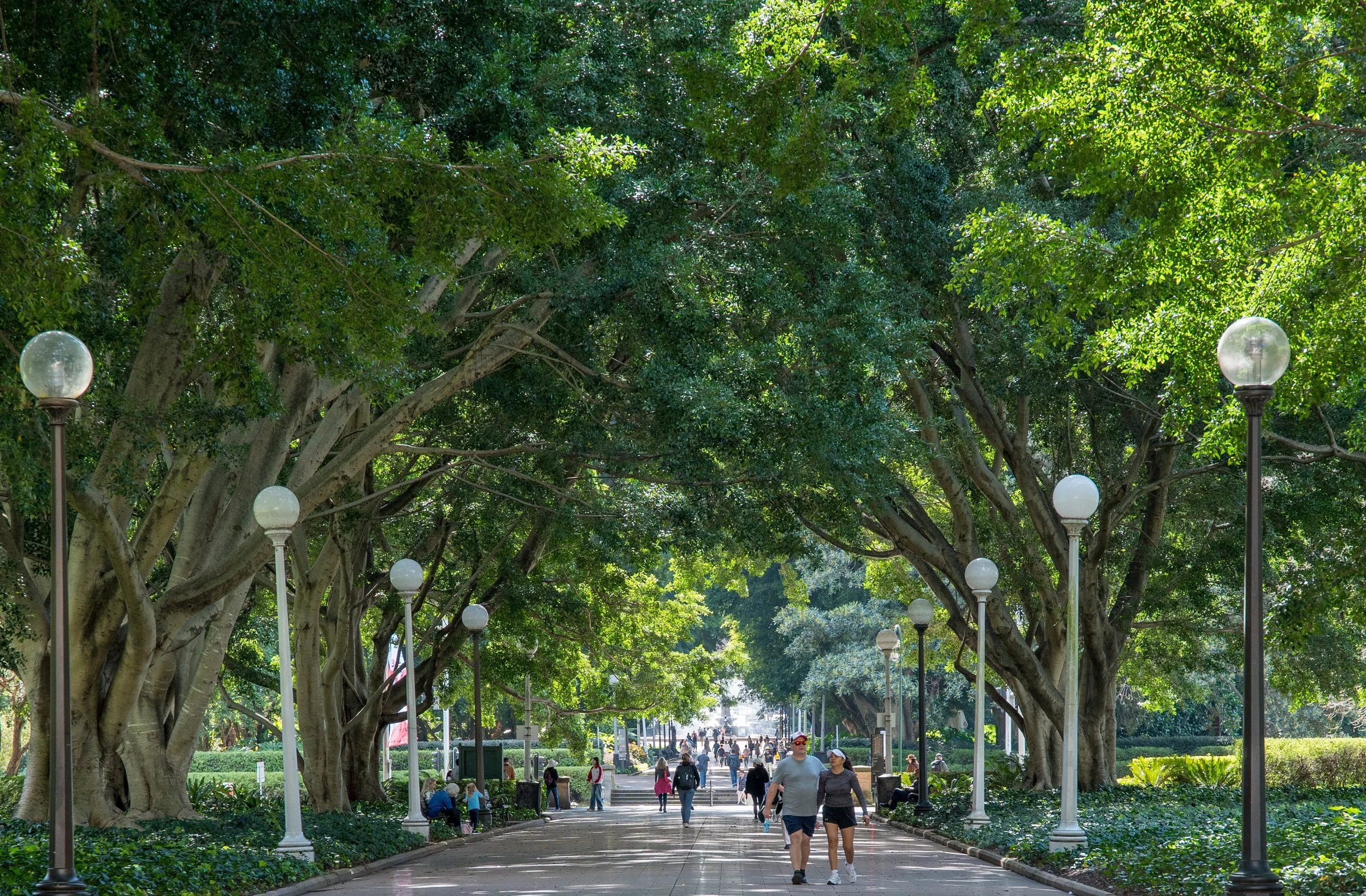 People walking along a paved path in a park shaded by large, leafy trees with street lamps lining the path.
