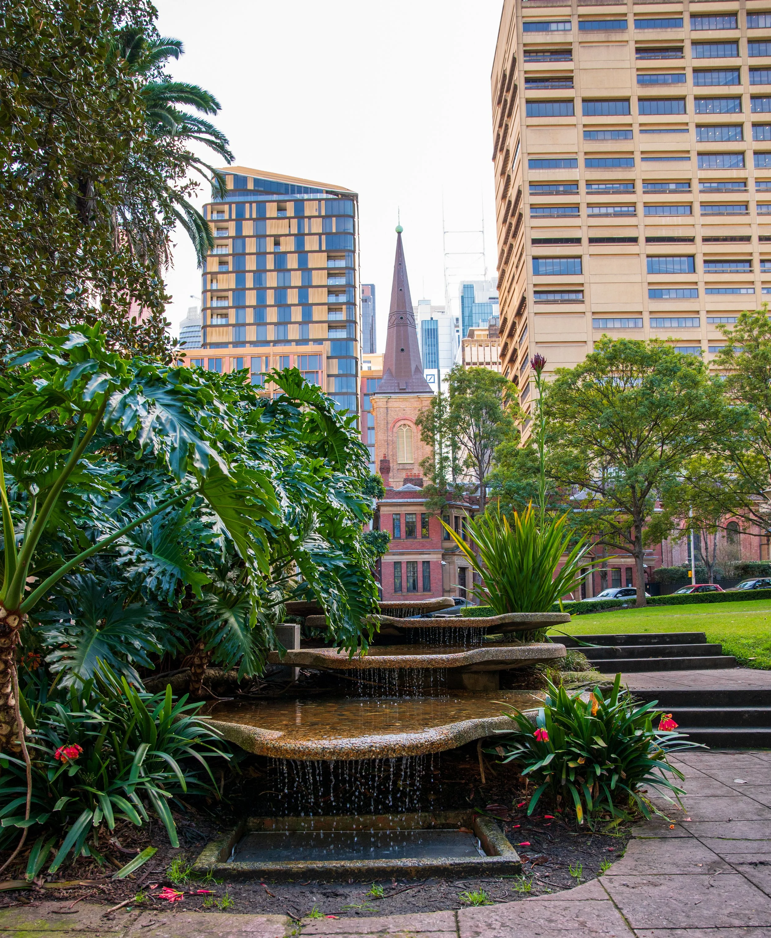 A city park with green plants and a small water fountain, surrounded by tall modern buildings and a church with a steeple.
