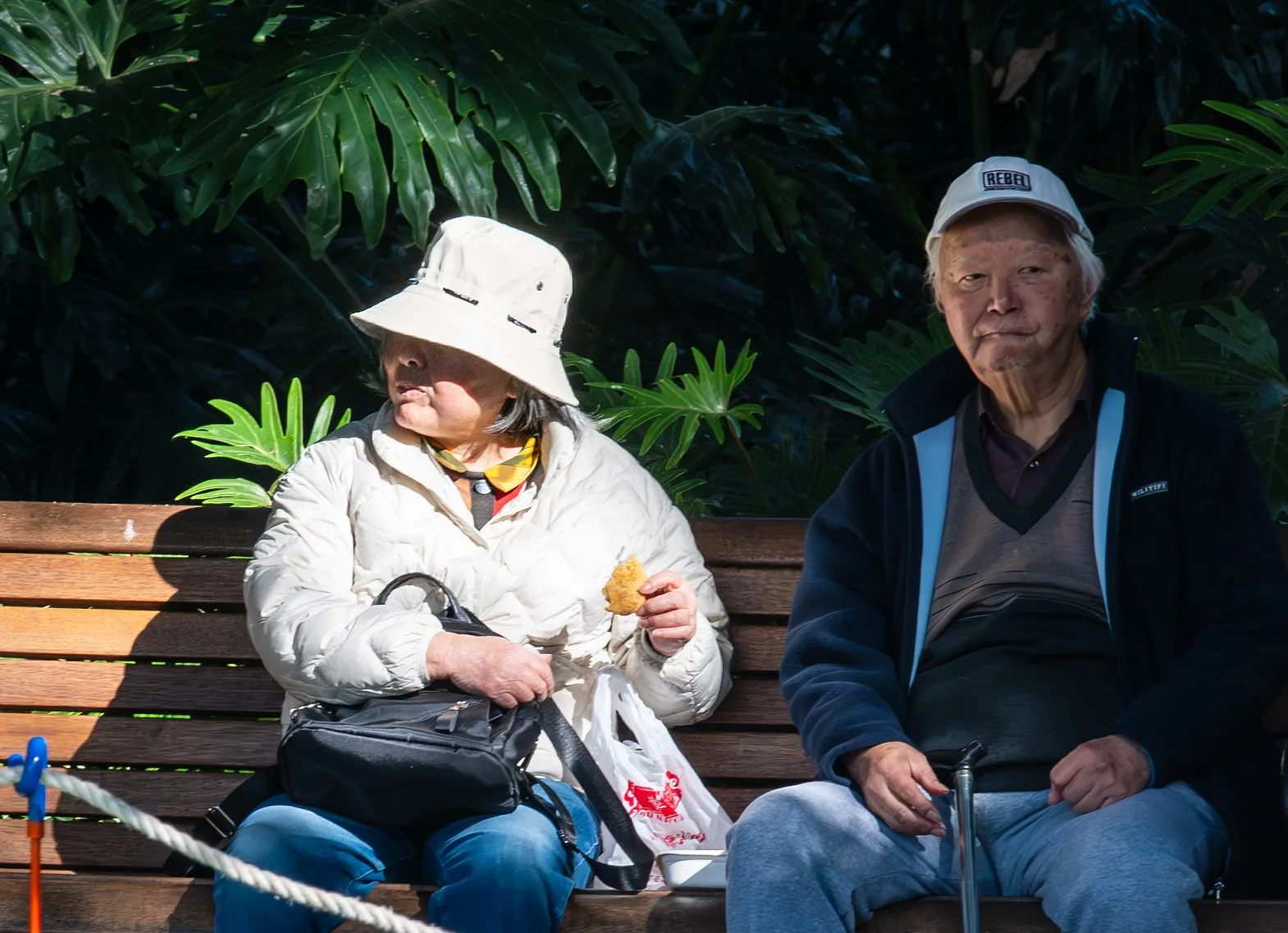 An elderly woman and man sitting on a park bench surrounded by lush green tropical plants, with the woman eating a snack.