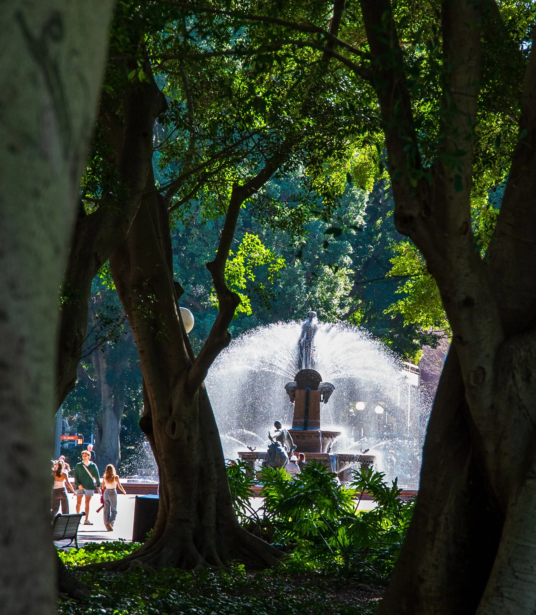 A city park with a fountain in the background, viewed through trees with thick trunks. Several people walk near the fountain on a sunny day.