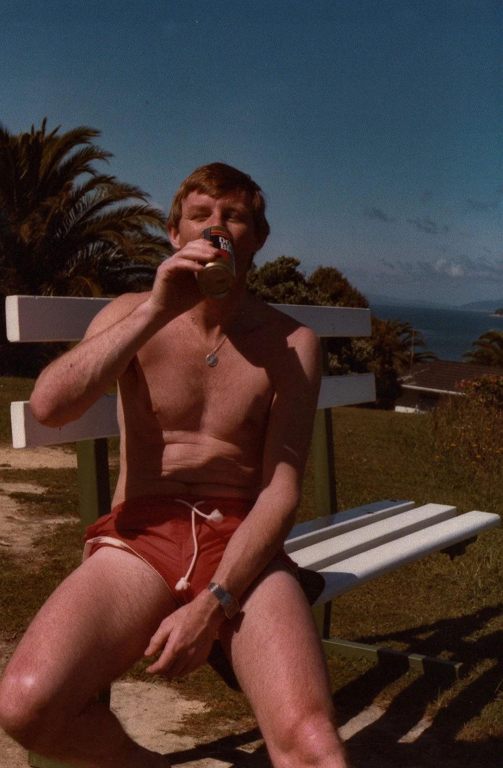 A shirtless man with red hair, wearing red shorts, sitting on a white park bench outdoors, drinking from a can, with a scenic background of trees, a body of water, and a cloudy sky.