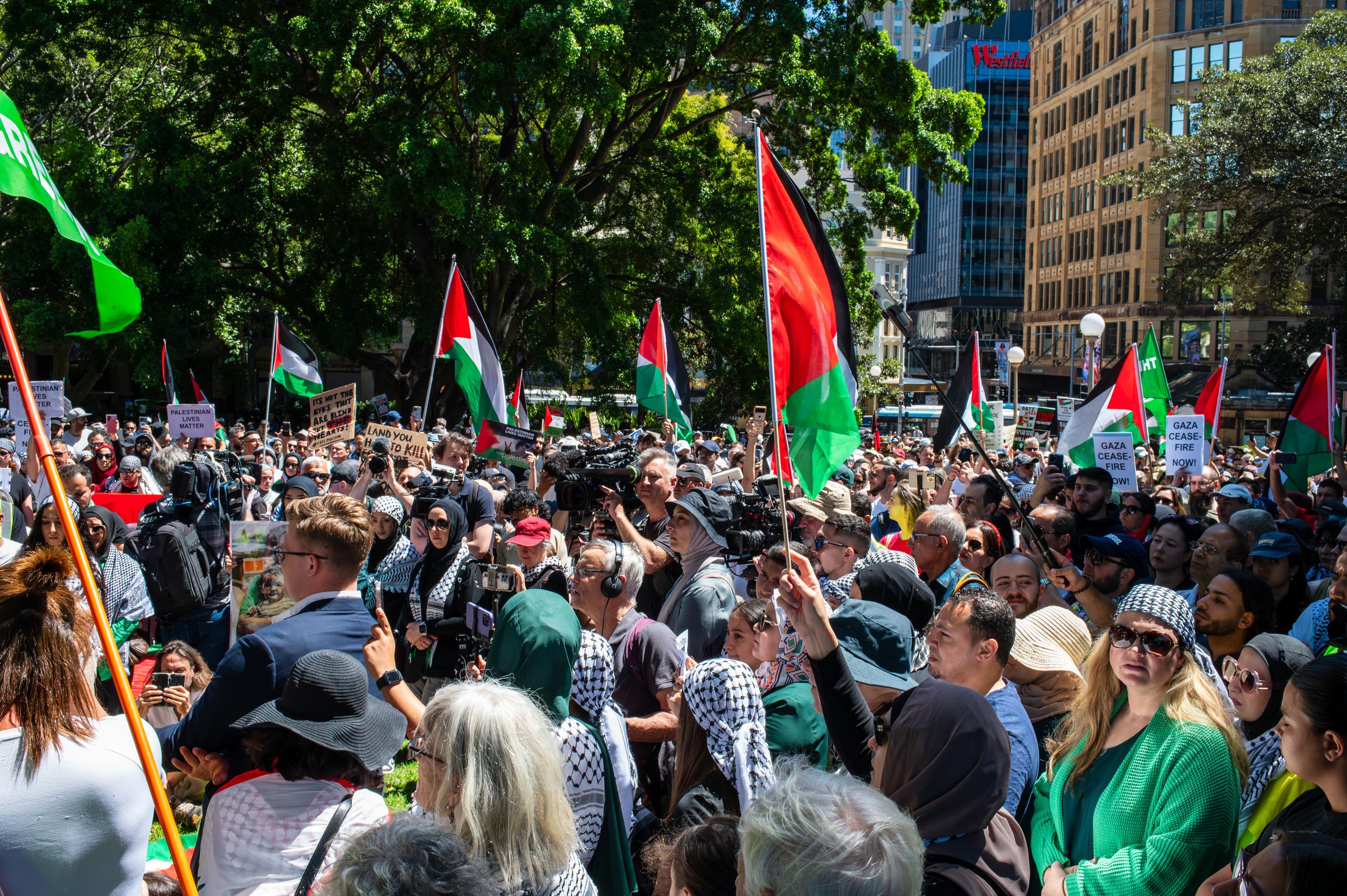 Pro Palestine Protests In Sydney