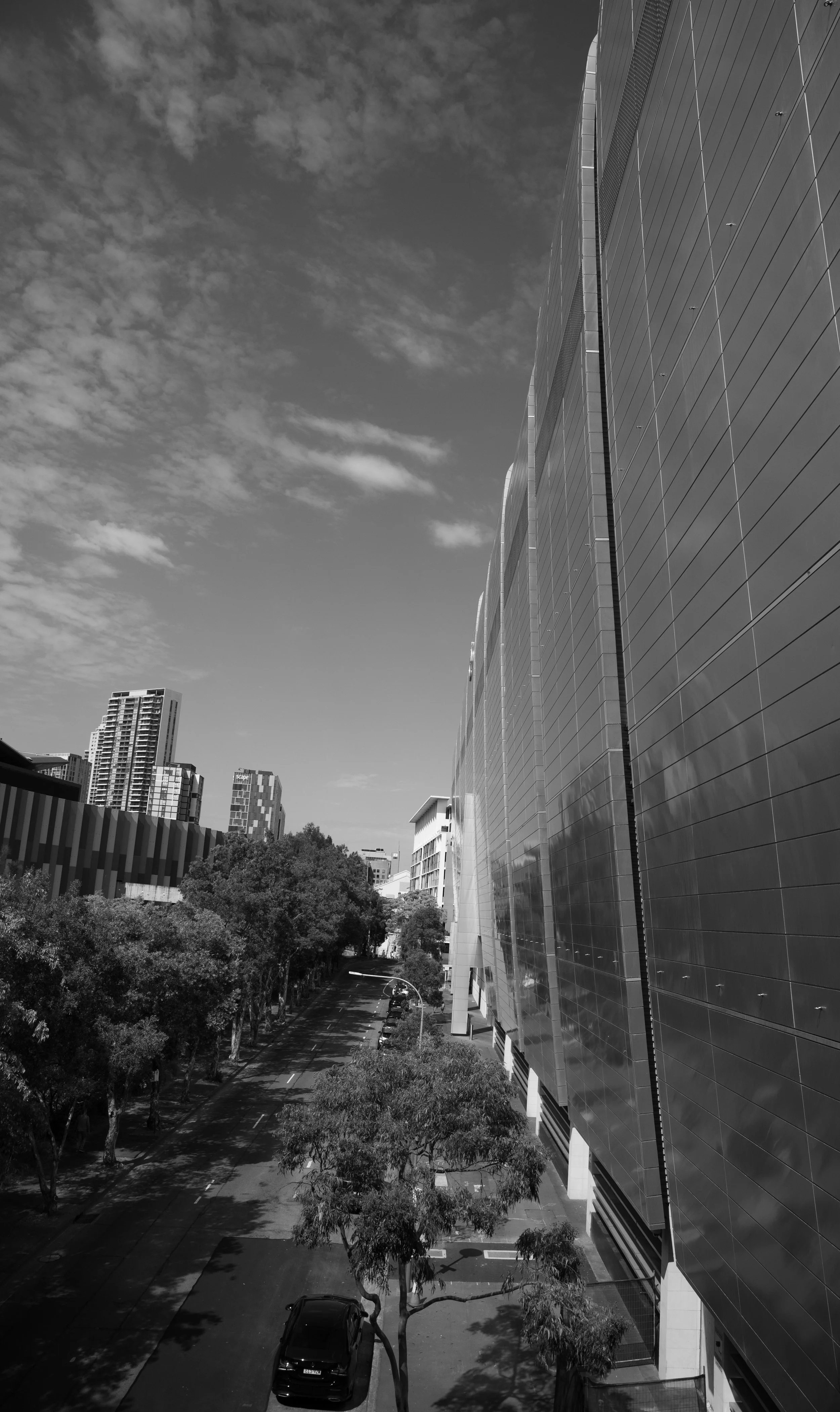 Black and white photo of tall modern office buildings with reflective glass surfaces, lining a tree-lined street with parked cars and a cloudy sky overhead.