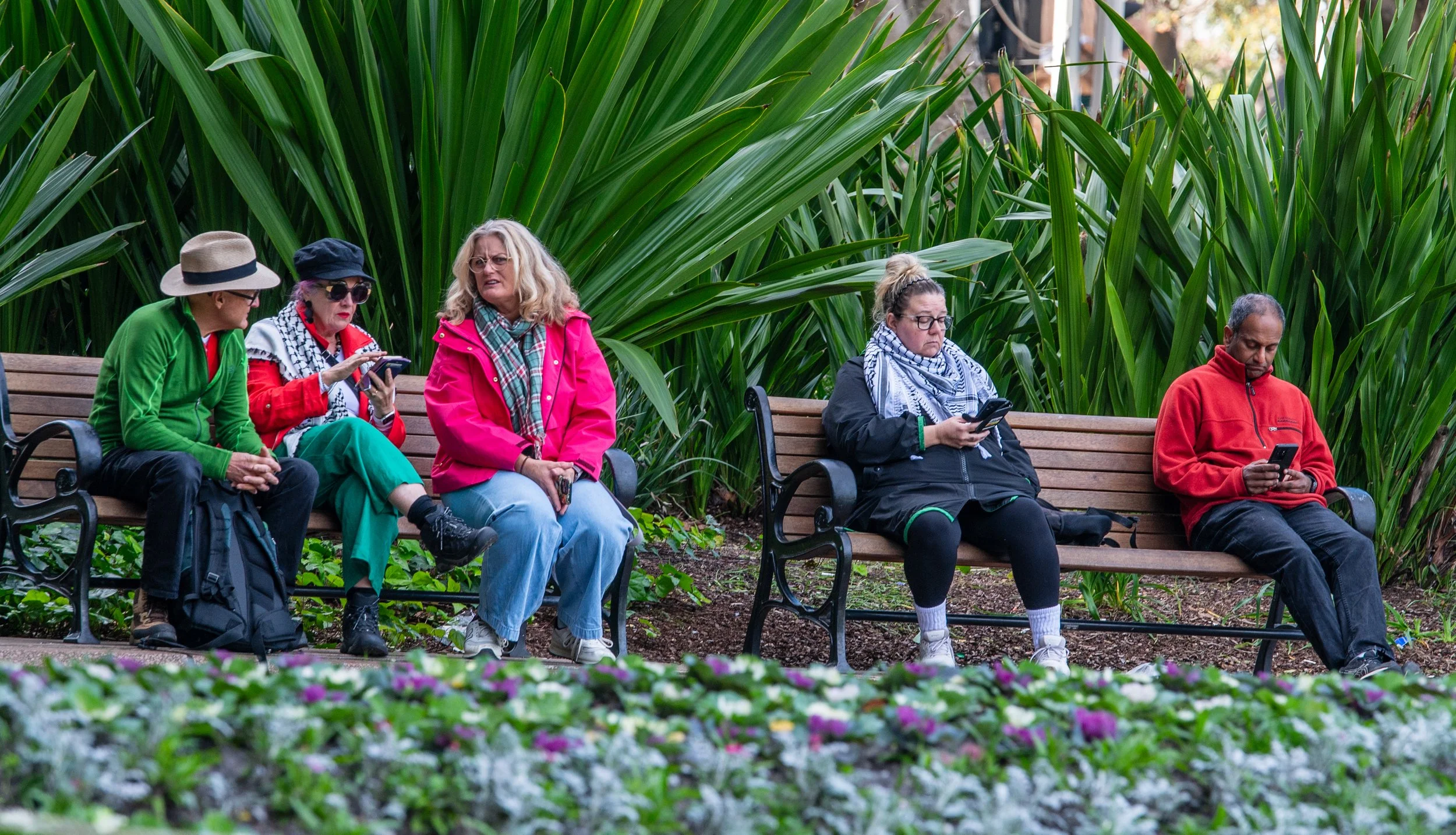 Five people sitting on benches in a park, all looking at their smartphones, with tall green plants behind them.