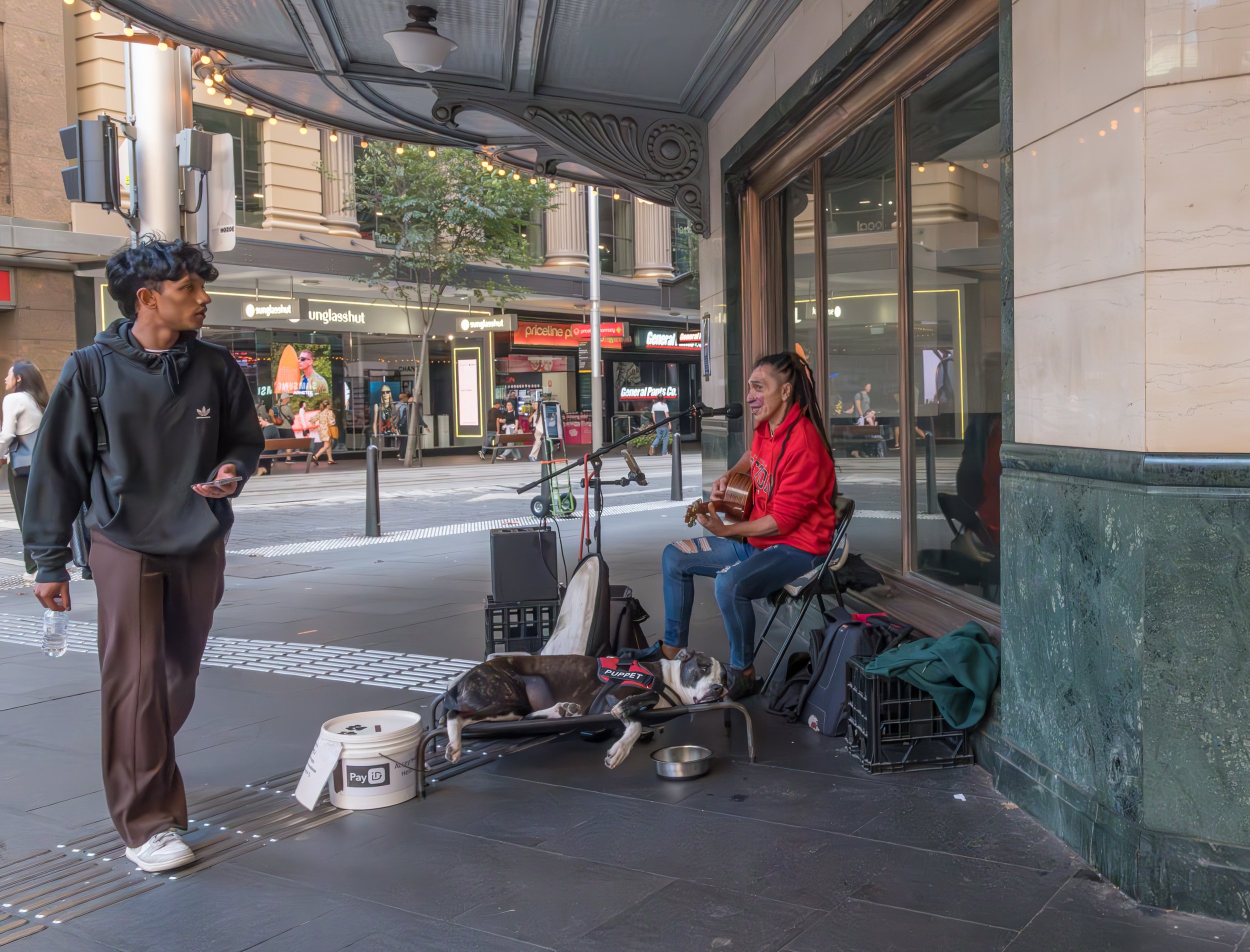 A woman playing guitar and singing on a city sidewalk, with a dog lying on a blanket nearby. A young man is walking past, holding a water bottle and looking toward her.