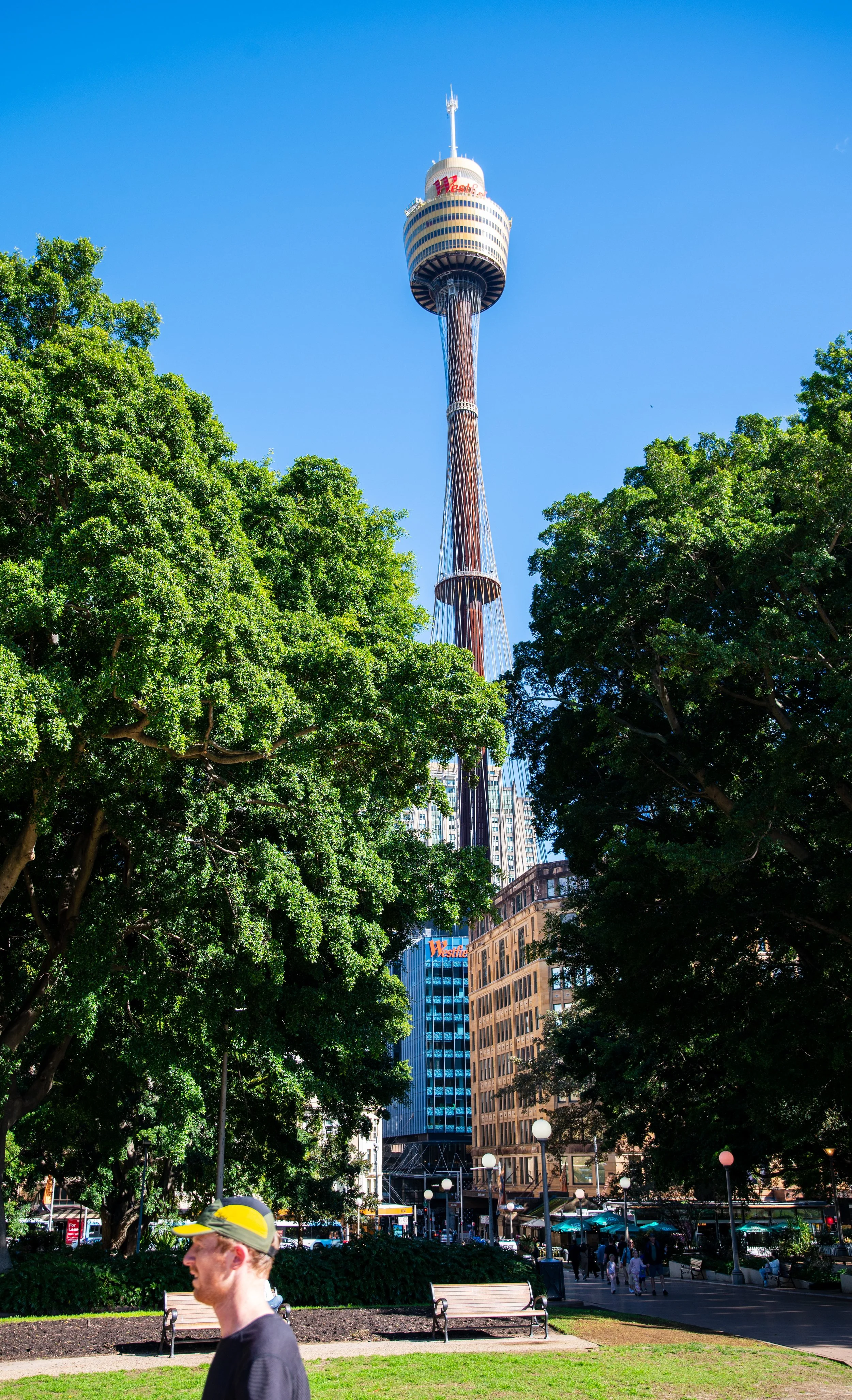 Sydney Tower Observatory visible above a city park with green trees, benches, and pedestrians on a sunny day.
