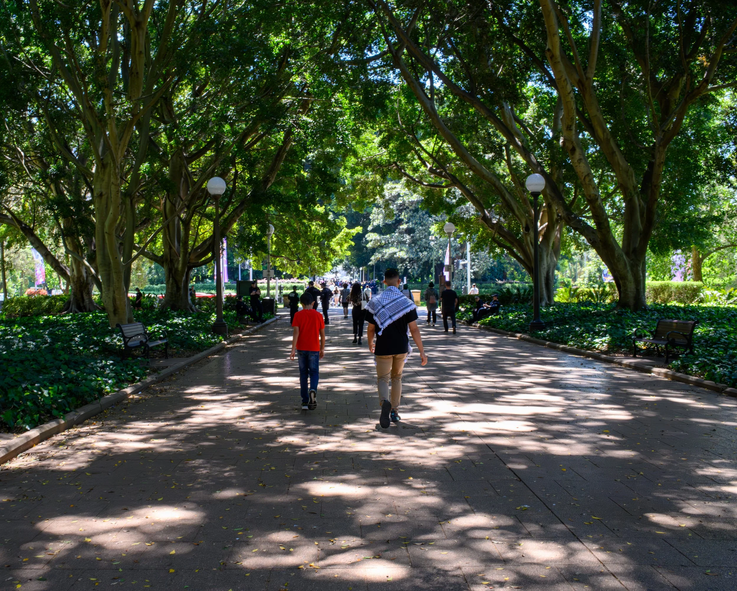 People walking along a shaded pathway in a lush park with large trees and benches.