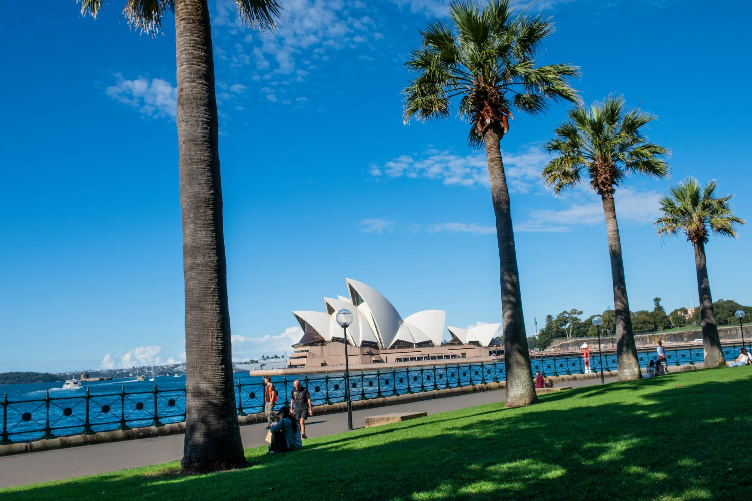 Sydney Opera House viewed across a waterfront, with palm trees and a grassy park in the foreground, and a clear blue sky.