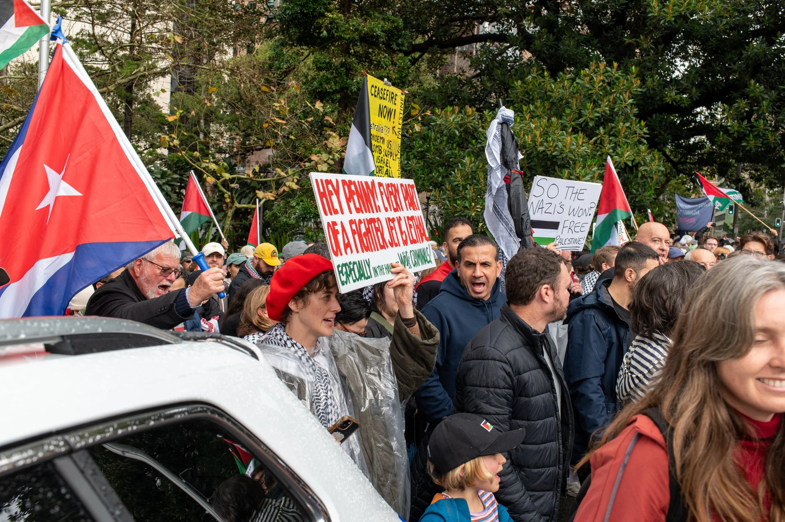 Crowd of protesters holding flags and signs in a demonstration. The signs include messages about fighting for Palestine and questioning the outcomes of conflicts. The protest is outdoors with trees in the background.