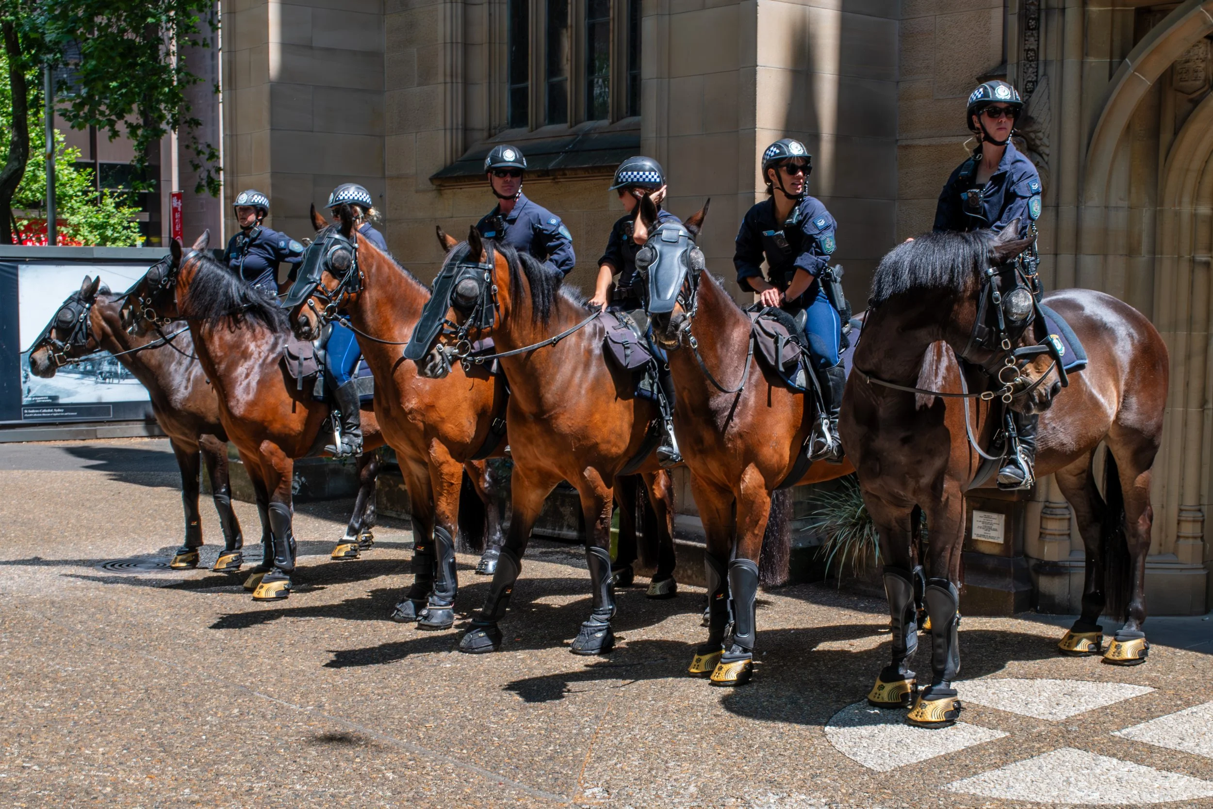 Six police officers riding horses on a city street, wearing helmets and uniforms, with a historic building in the background.