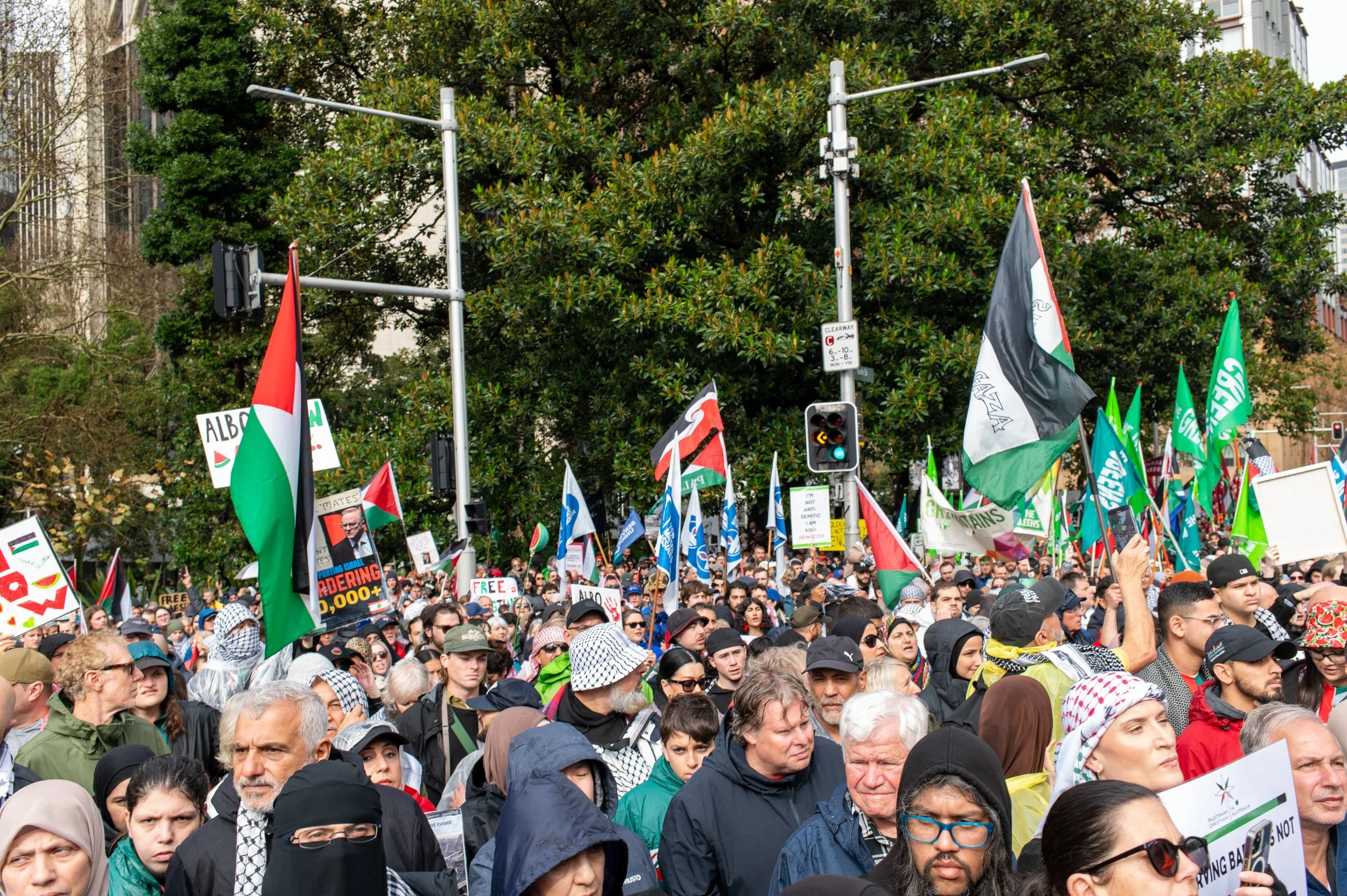 A large crowd of people participating in a protest or demonstration, holding various flags and signs, on a city street with trees in the background.