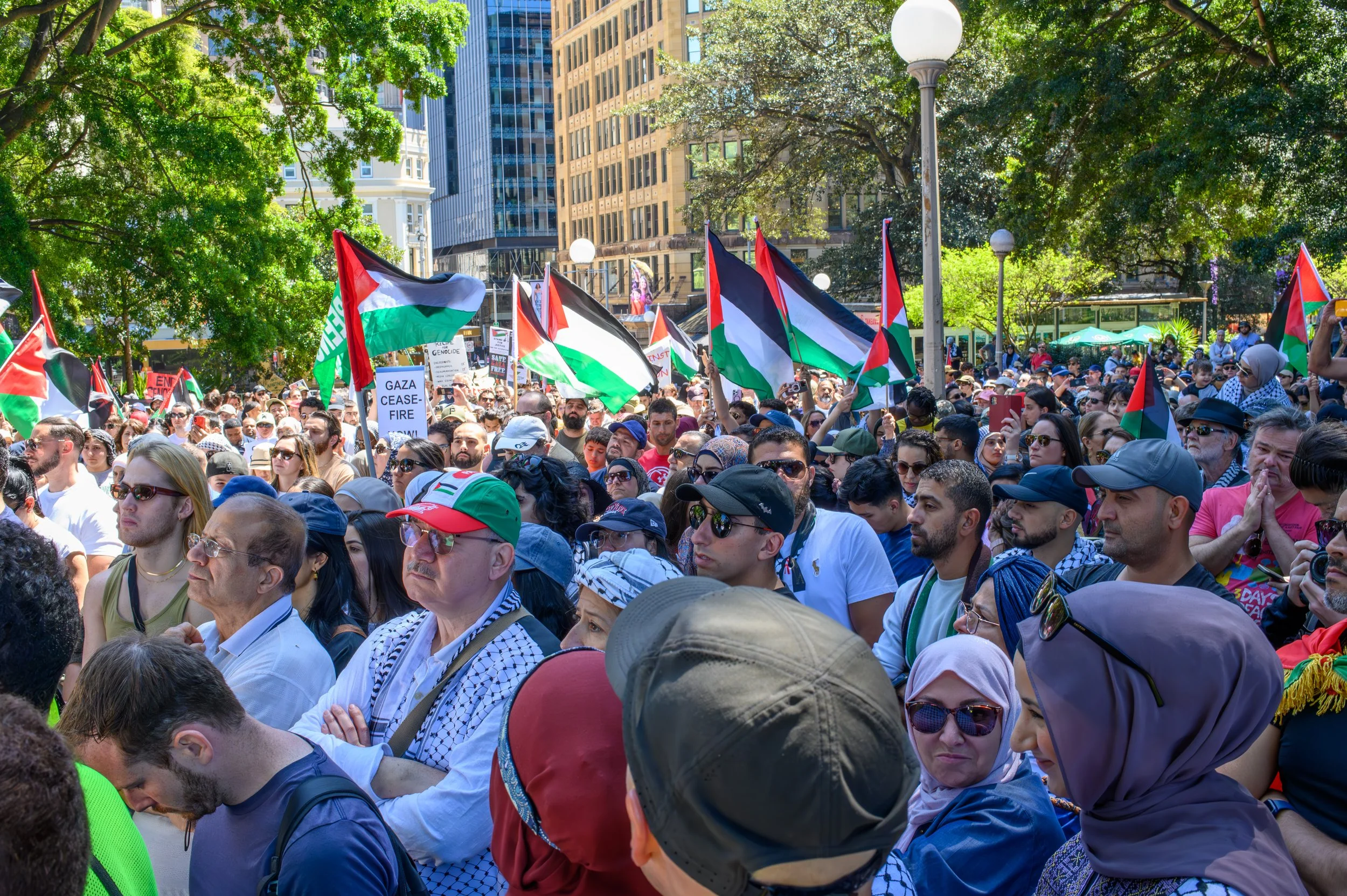 Crowd of protestors in a city park holding Palestinian flags and signs, with tall buildings and trees in the background.