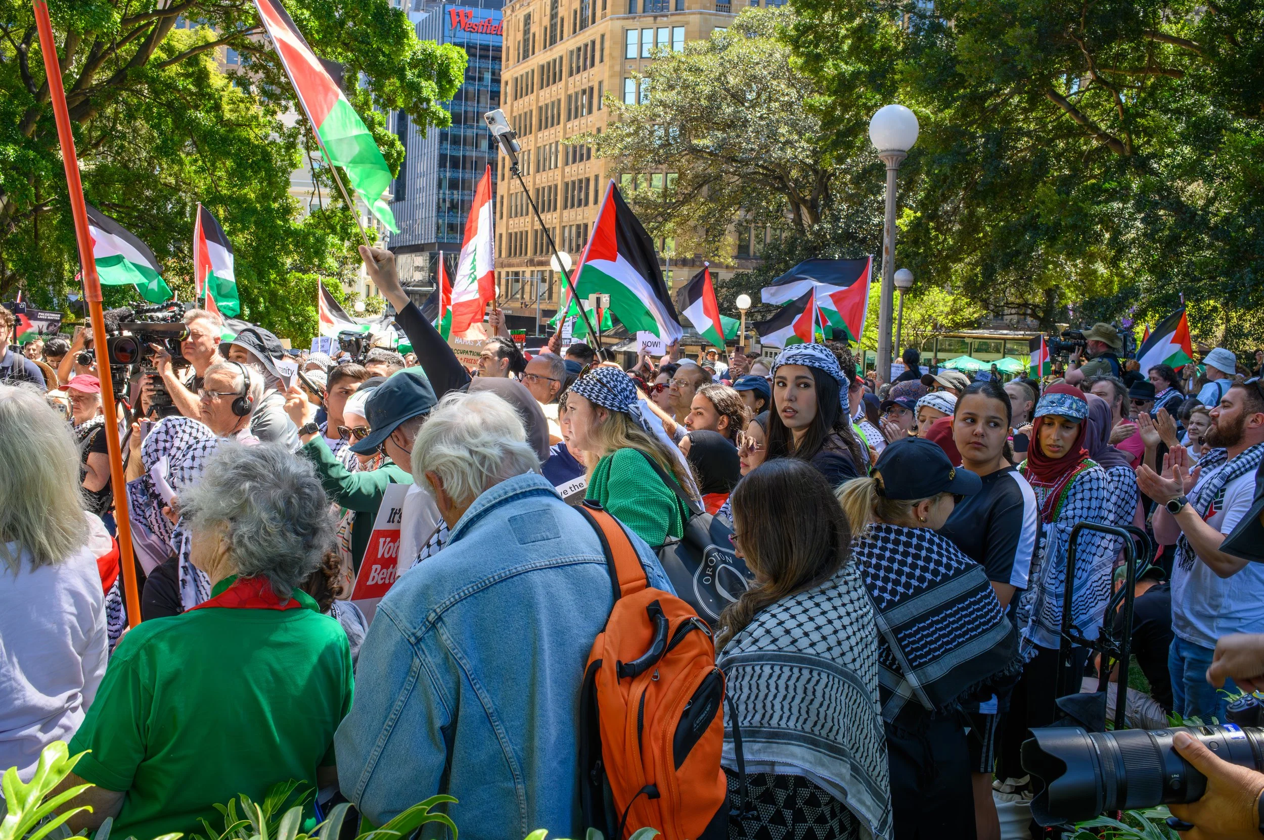 A large crowd of protesters outdoors, waving Palestinian flags and wearing traditional scarves, gathered in a city park surrounded by trees and tall buildings.